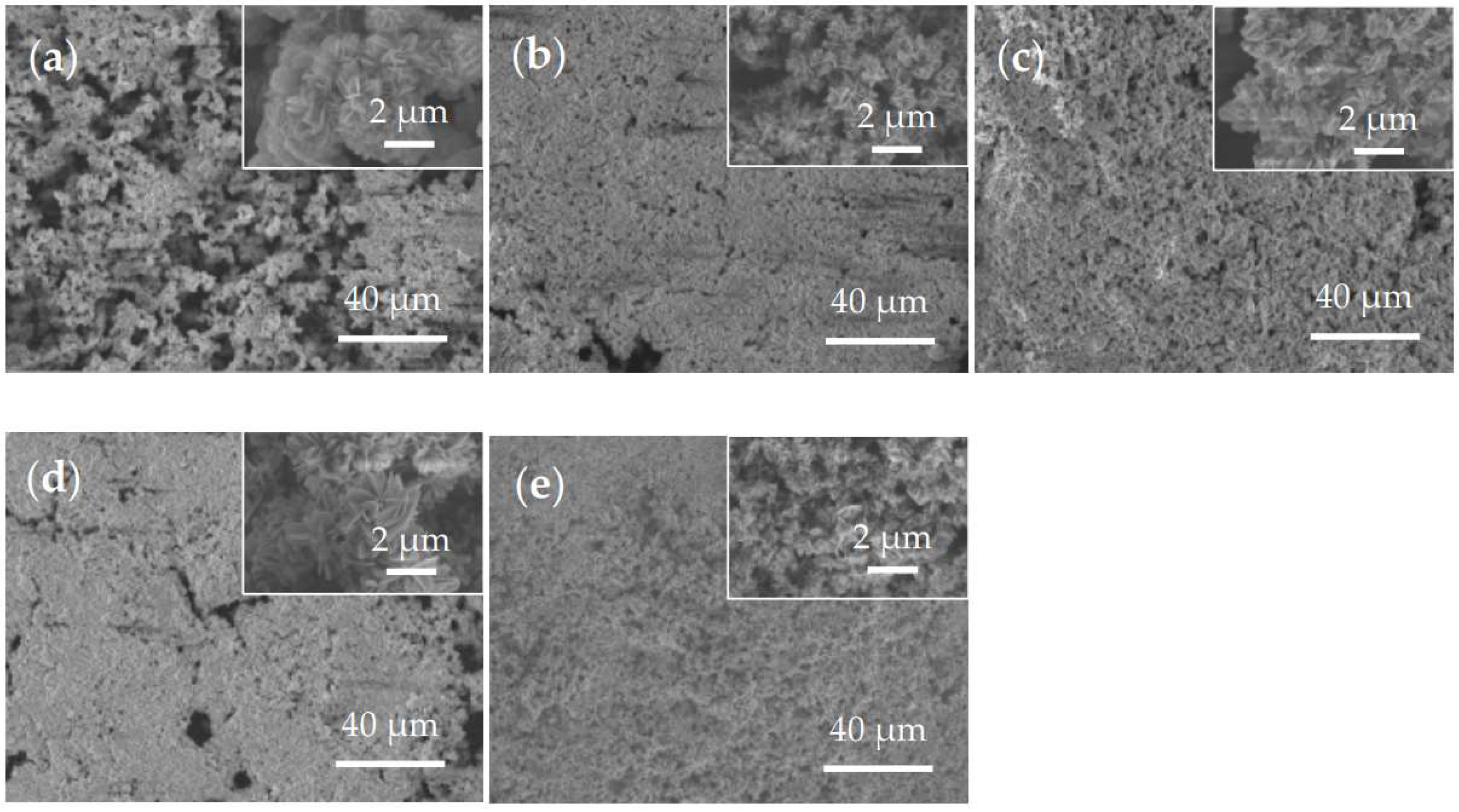 Coatings 12 00713 g003