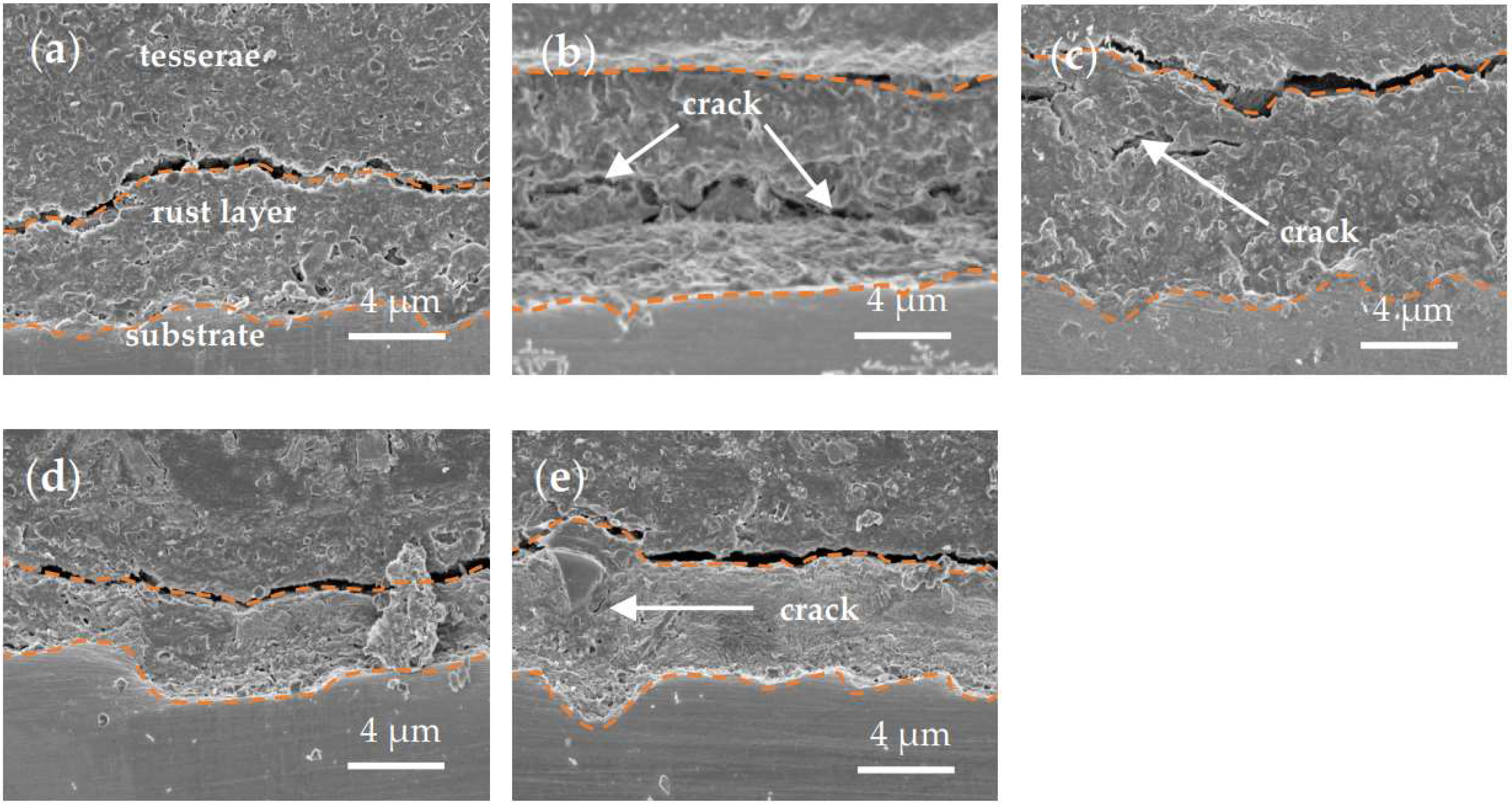 Coatings 12 00713 g006