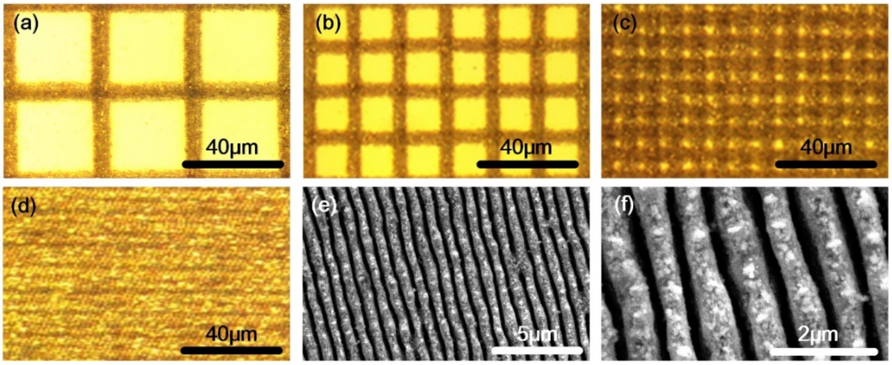 Coatings 12 00716 g003 550