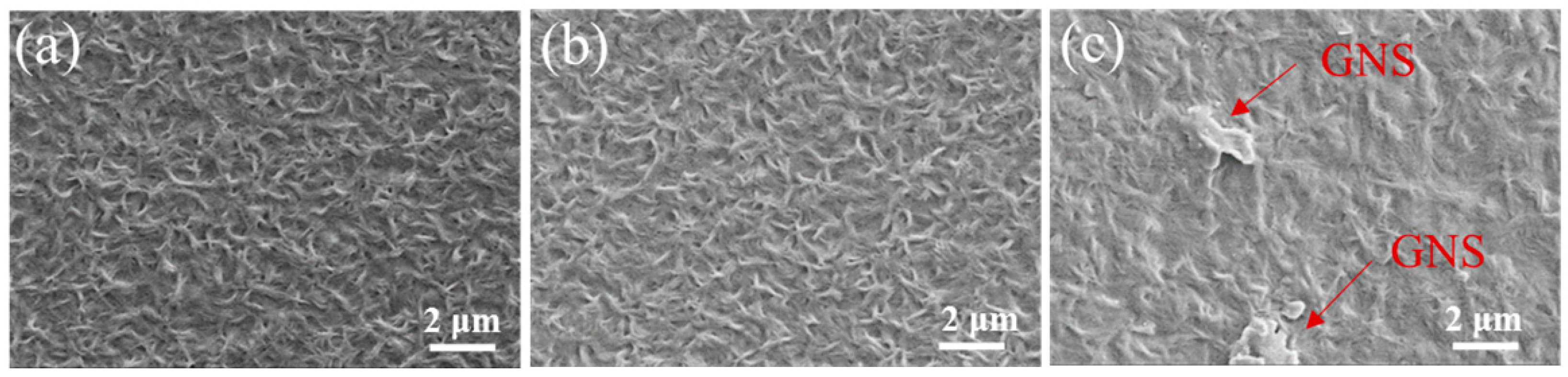 Coatings 12 00718 g002 550