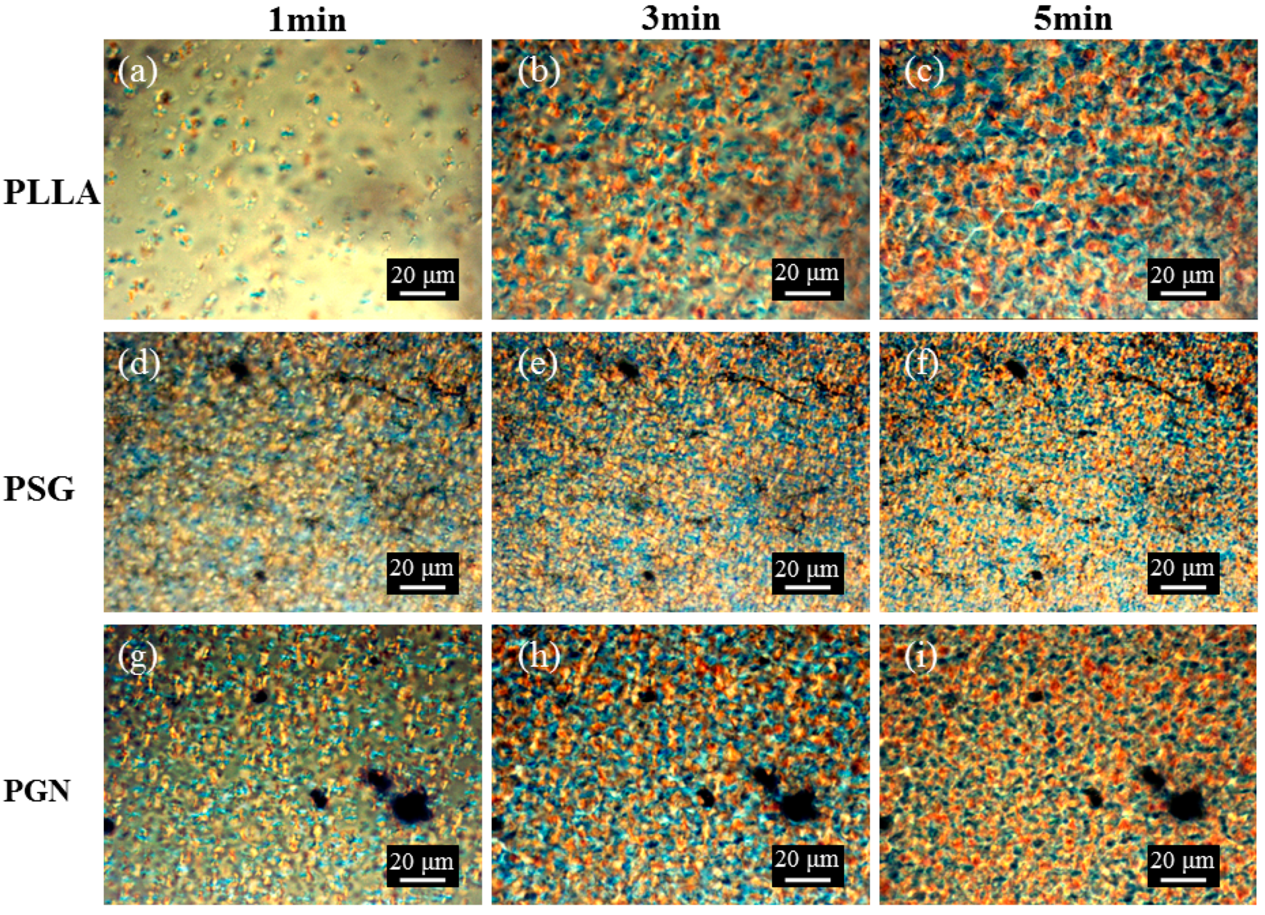 Coatings 12 00718 g005 550