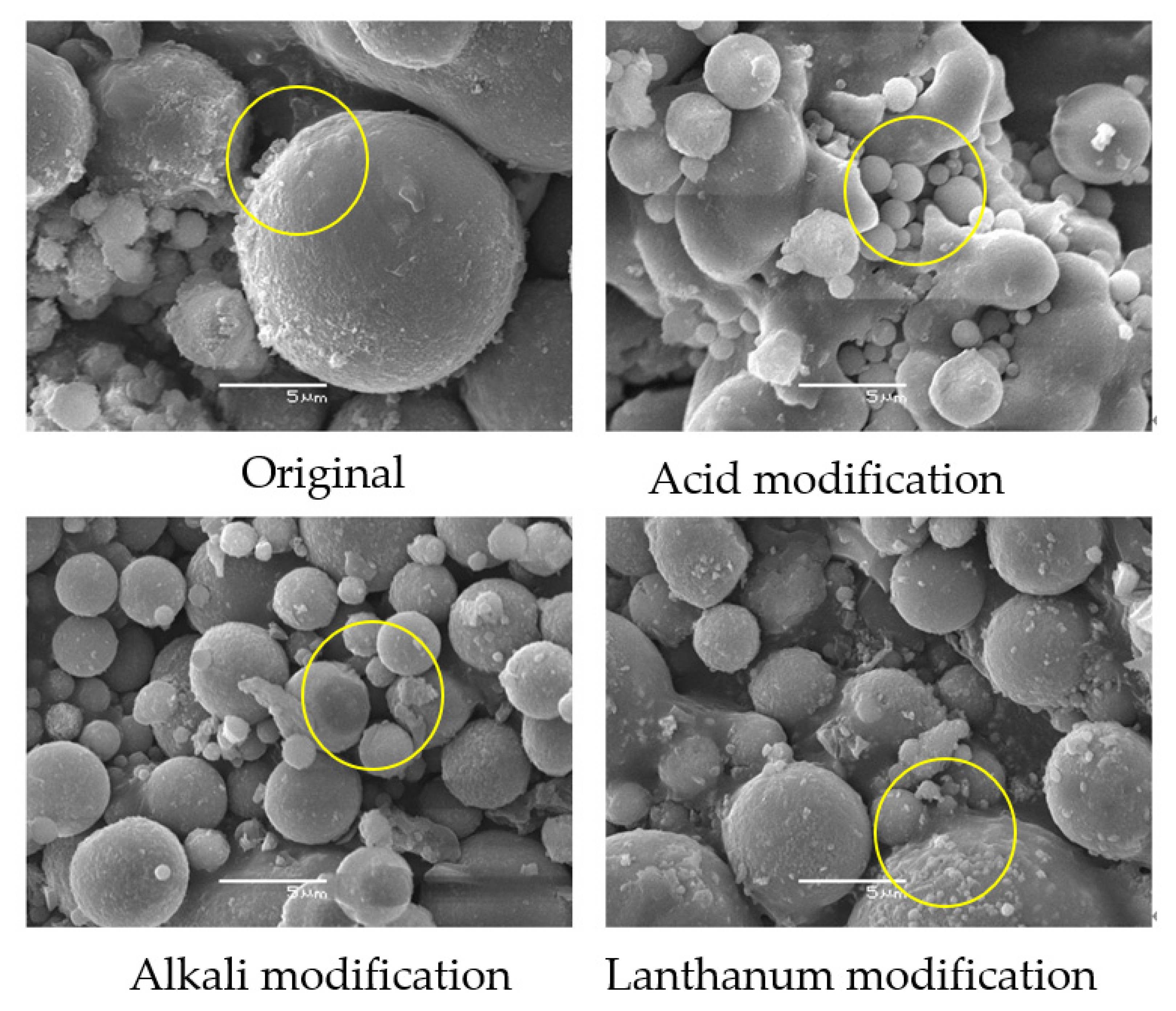 Coatings 12 00719 g003
