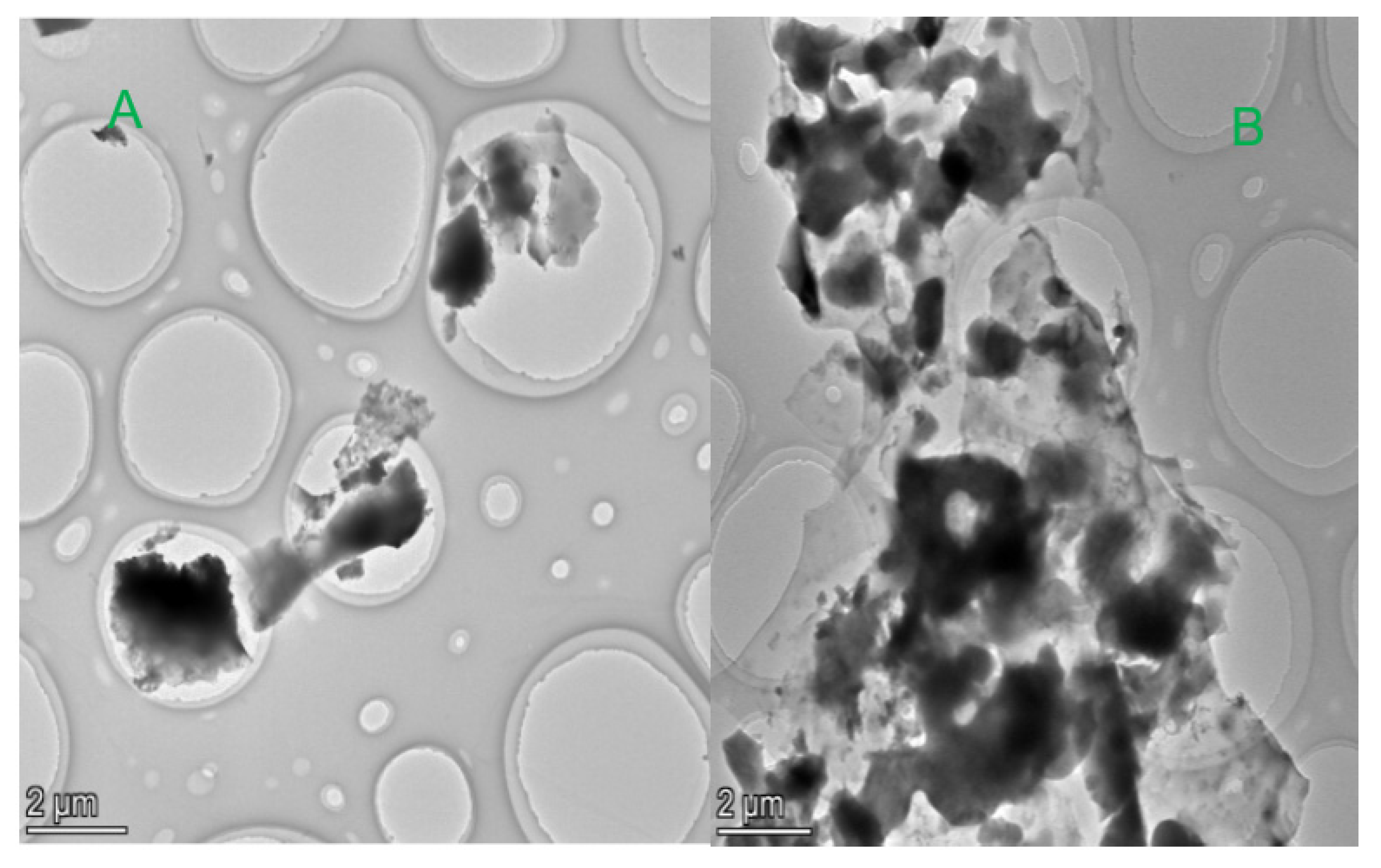 Coatings 12 00719 g013