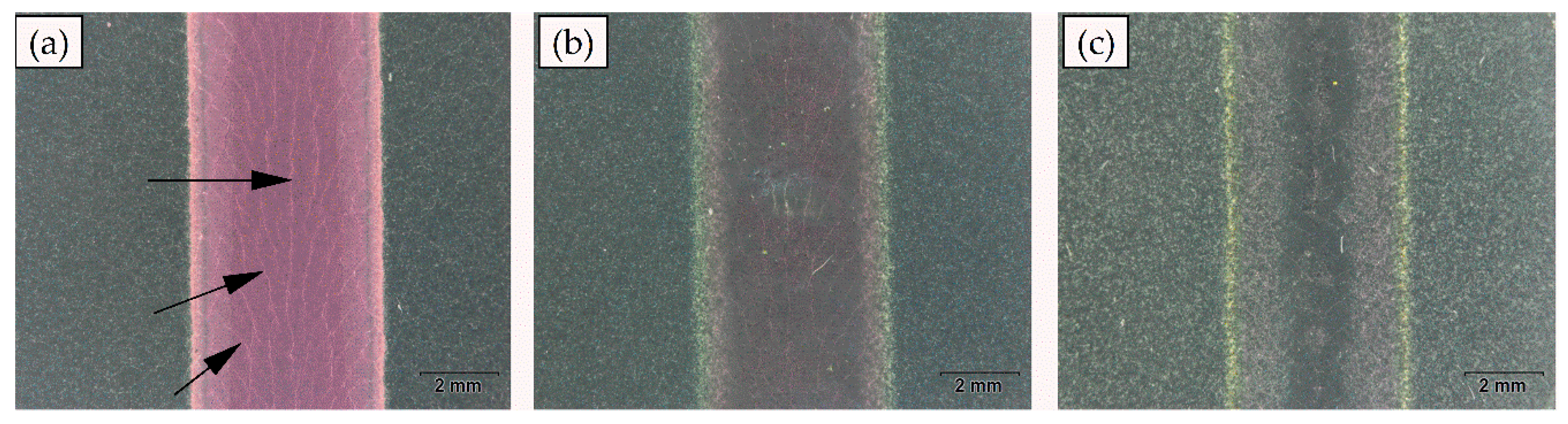 Coatings 12 00721 g001