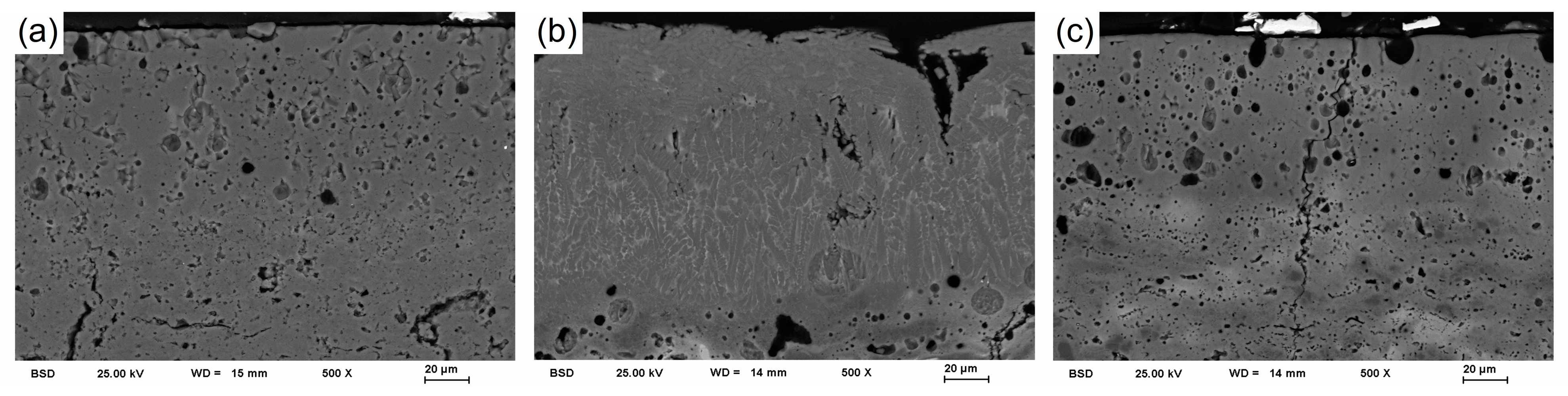 Coatings 12 00721 g003