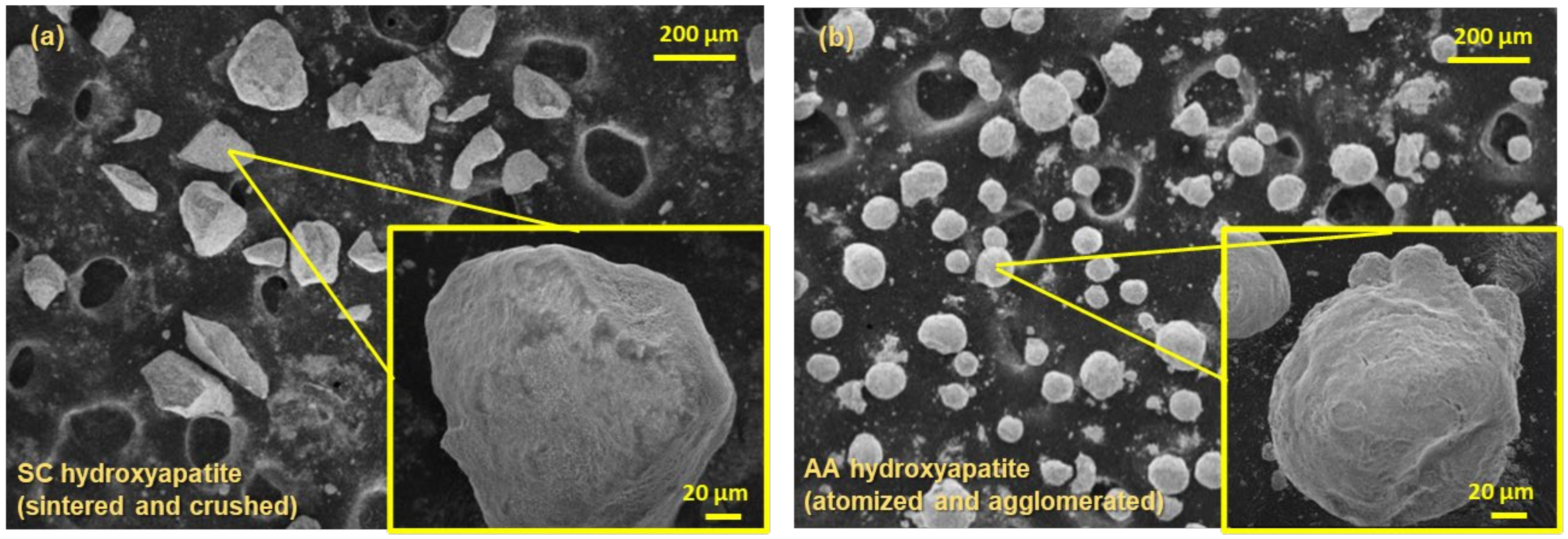 Coatings 12 00722 g004 550