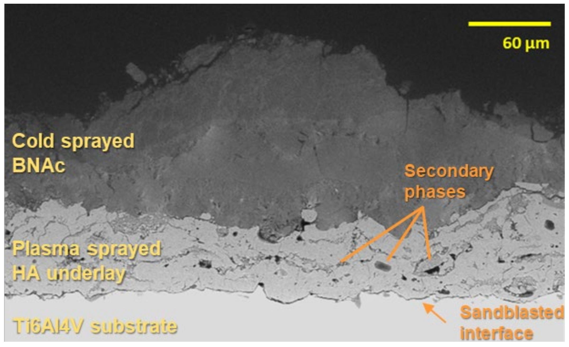 Coatings 12 00722 g007 550