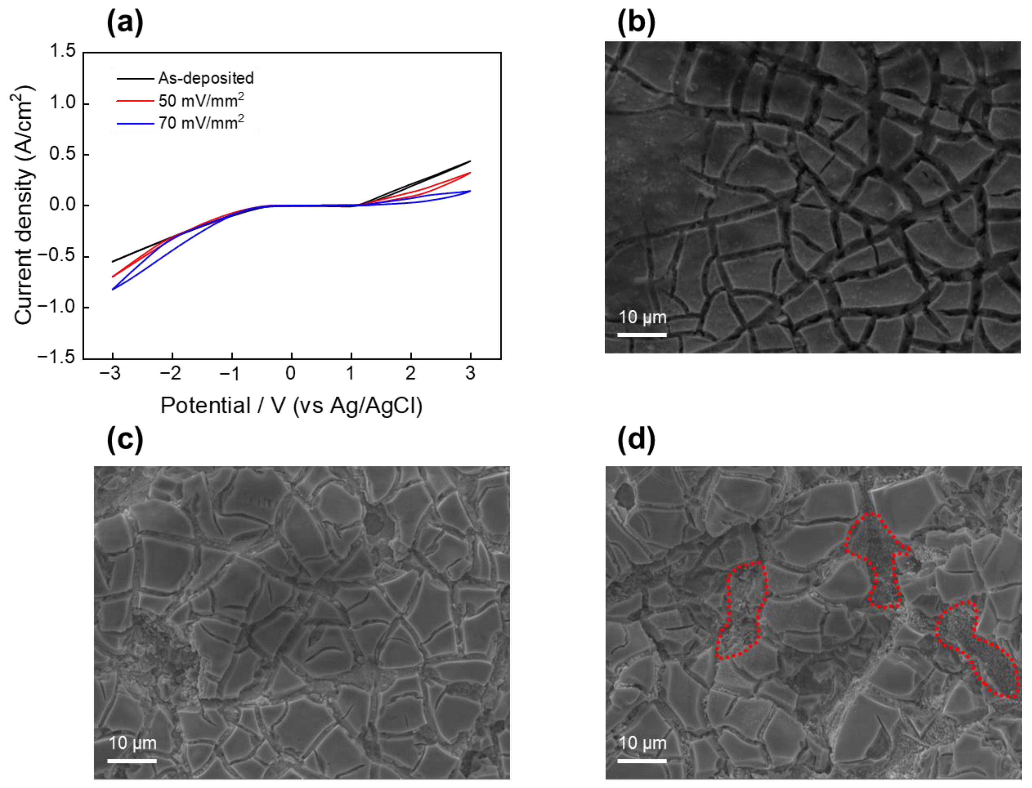 Performance of Insoluble IrO2 Anode for Sewage Sludge Cake