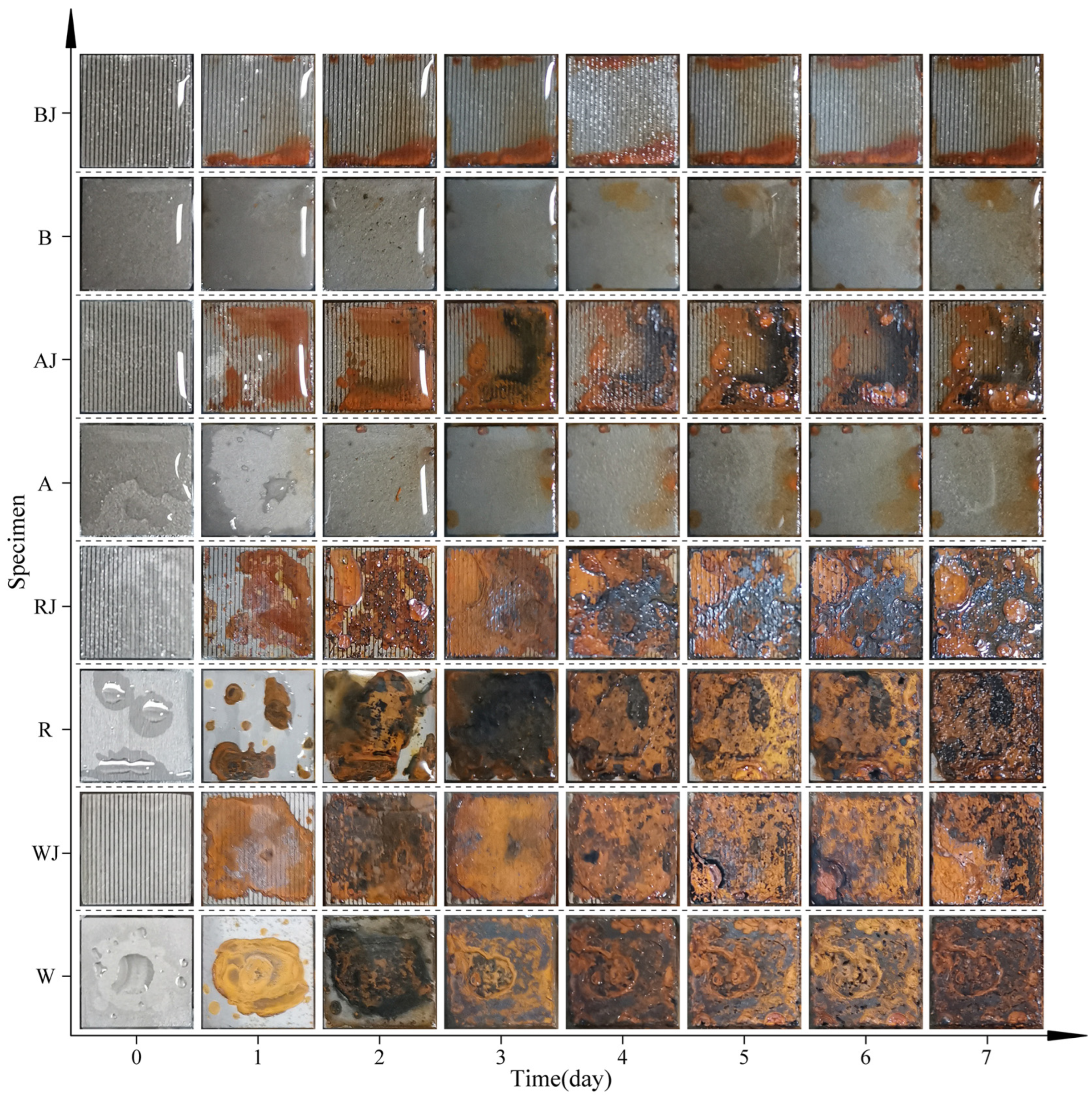 Coatings 12 00725 g010 550