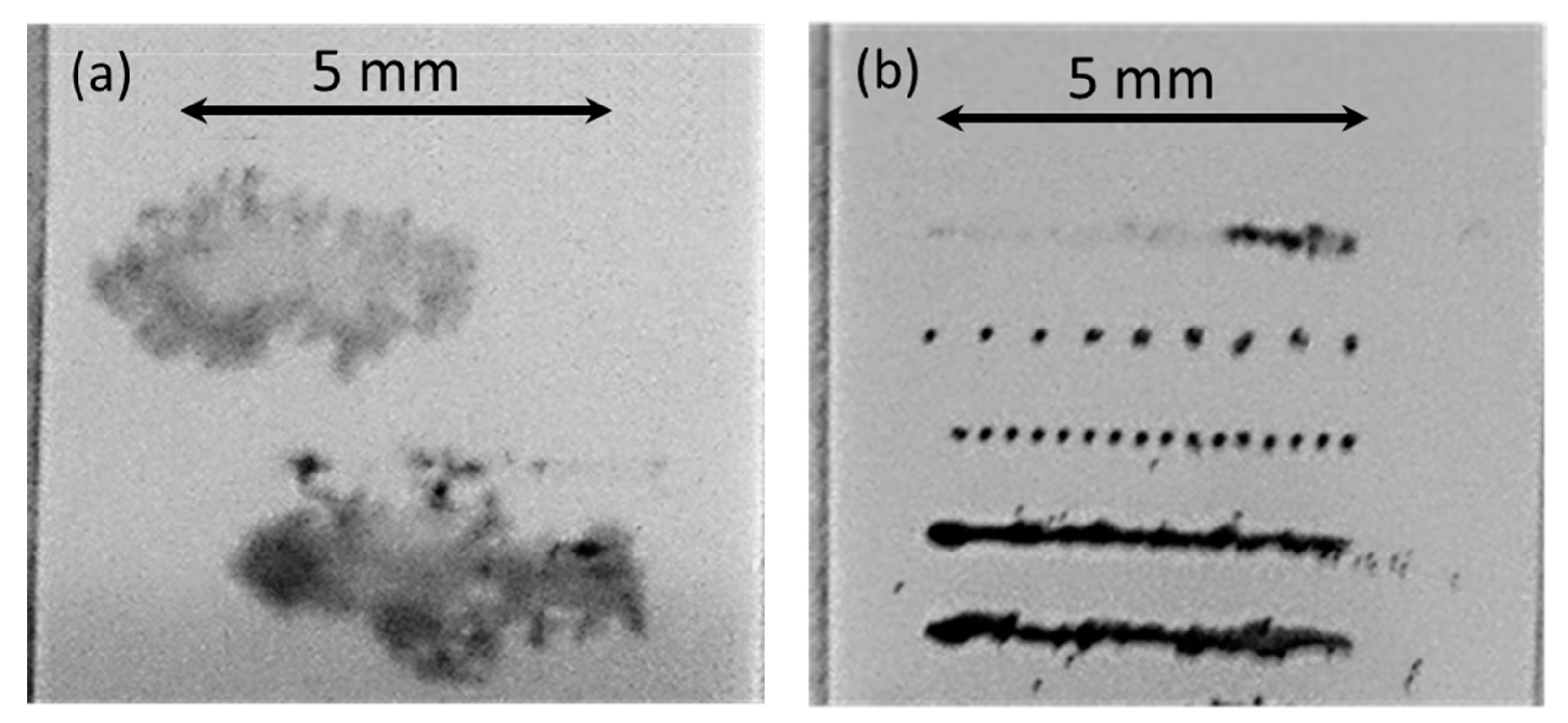 Coatings 12 00729 g002