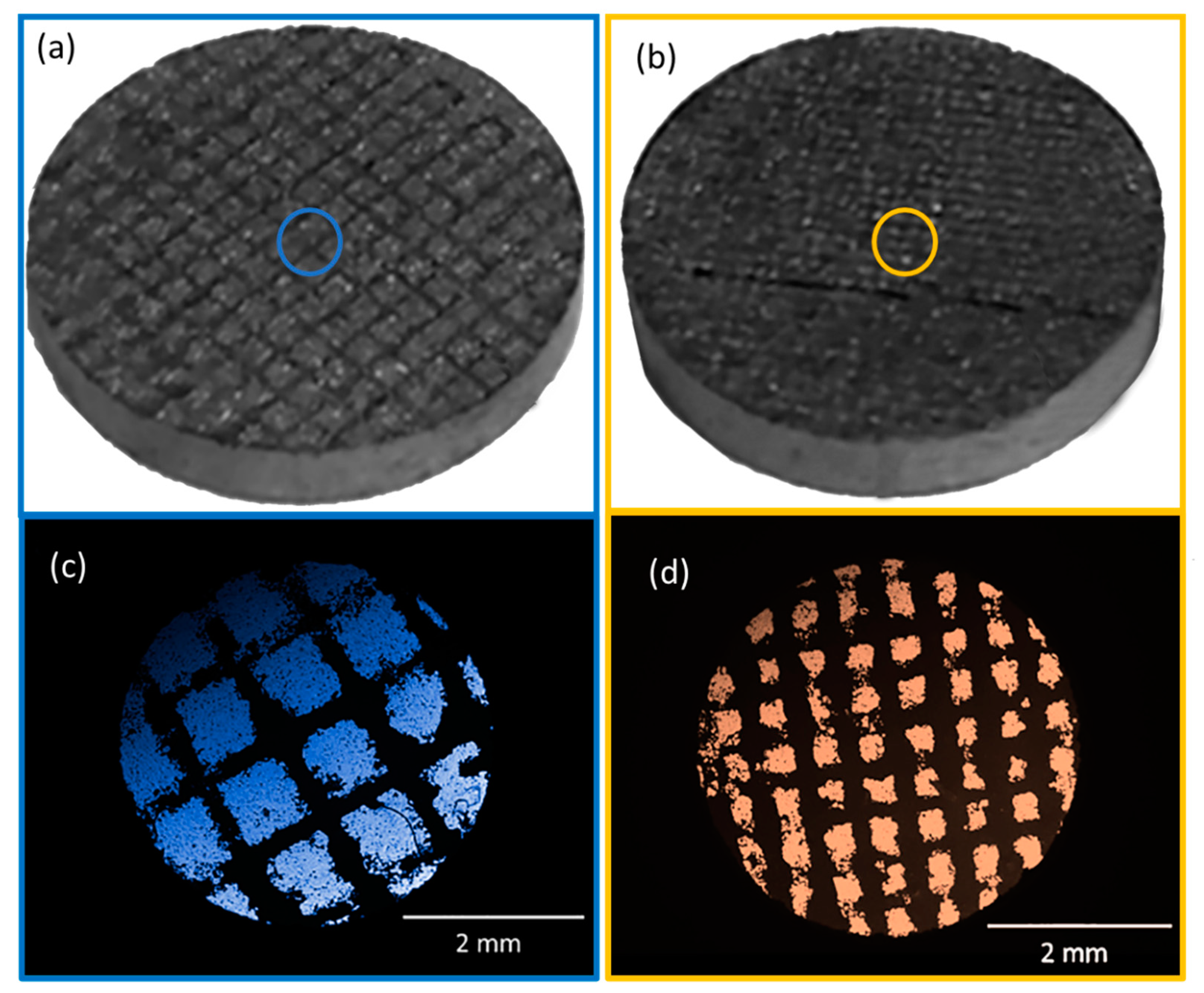 Coatings 12 00729 g003