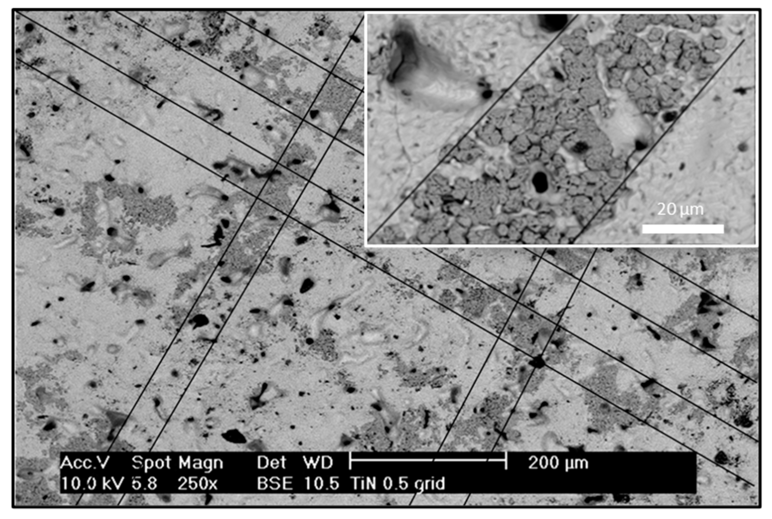 Coatings 12 00729 g004