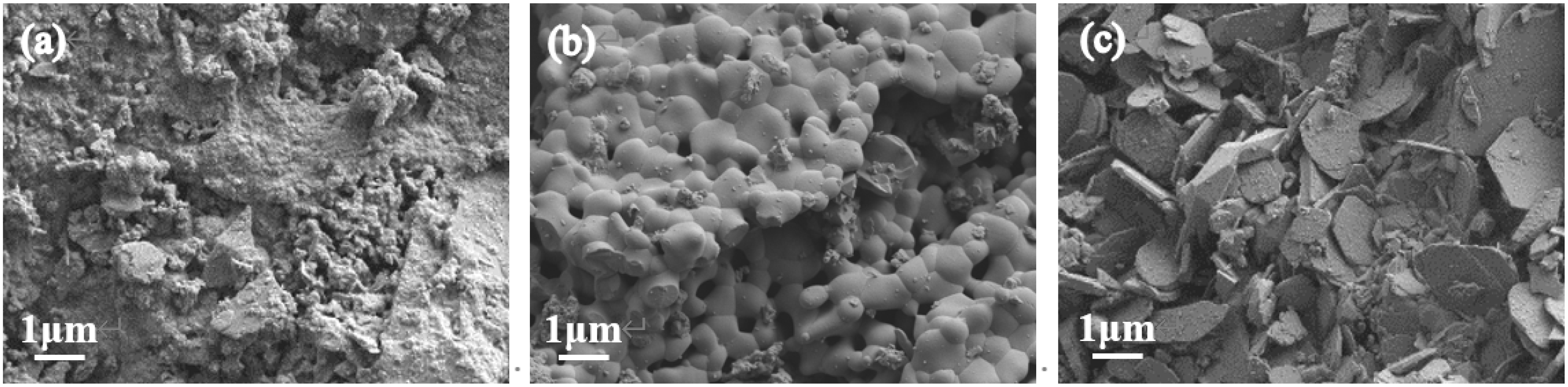 Coatings 12 00730 g010