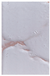 Coatings 12 00732 i007