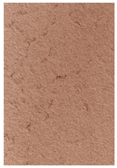 Coatings 12 00732 i021