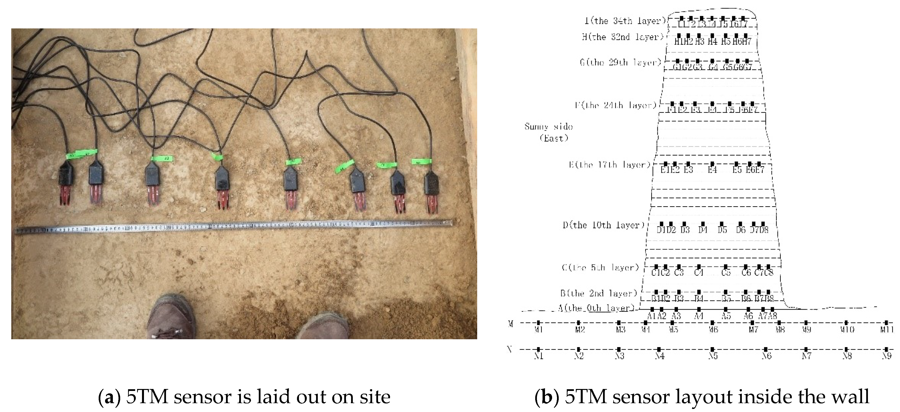 Coatings 12 00735 g005