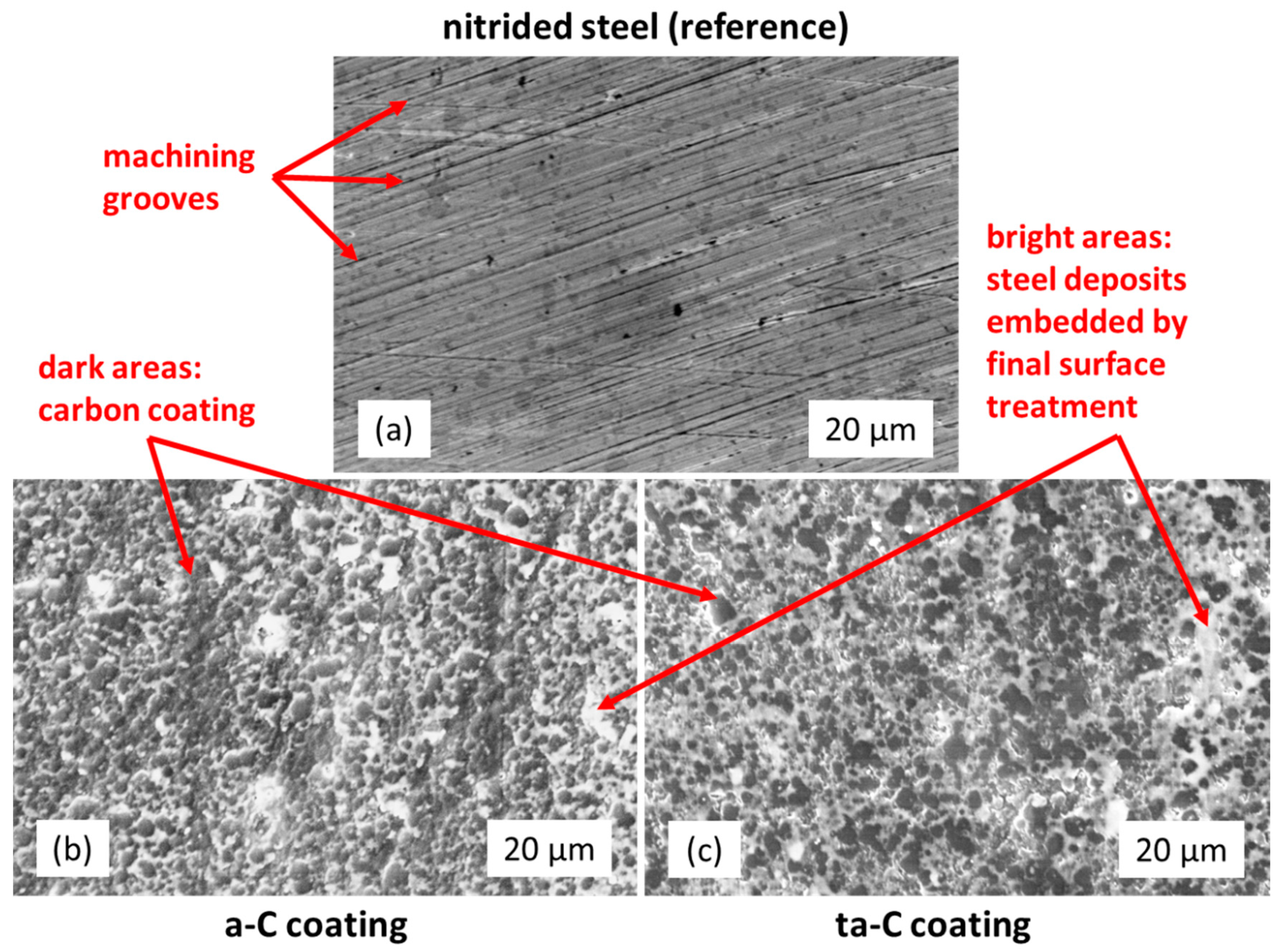 Coatings 12 00738 g001 550