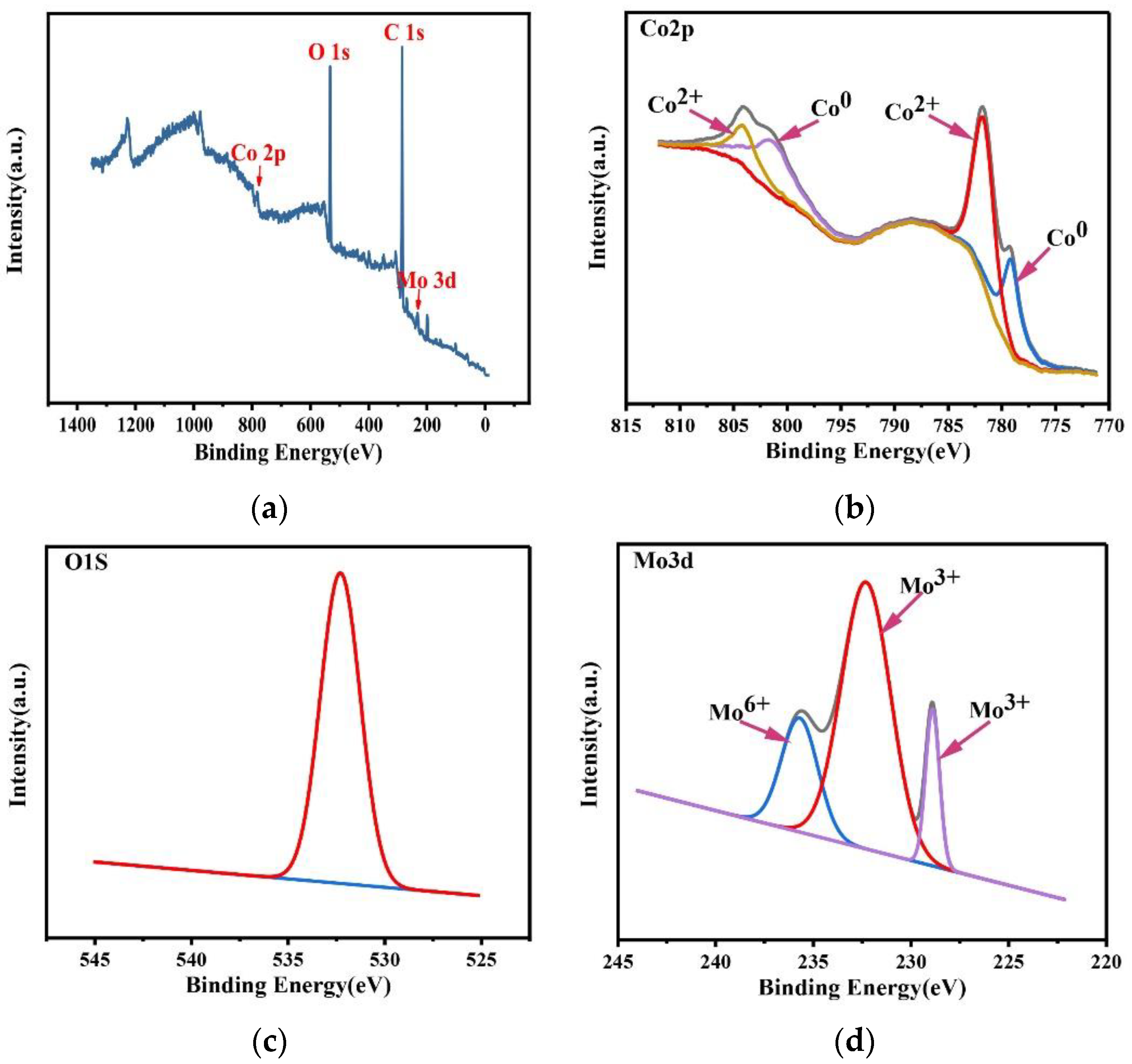 Coatings 12 00739 g017