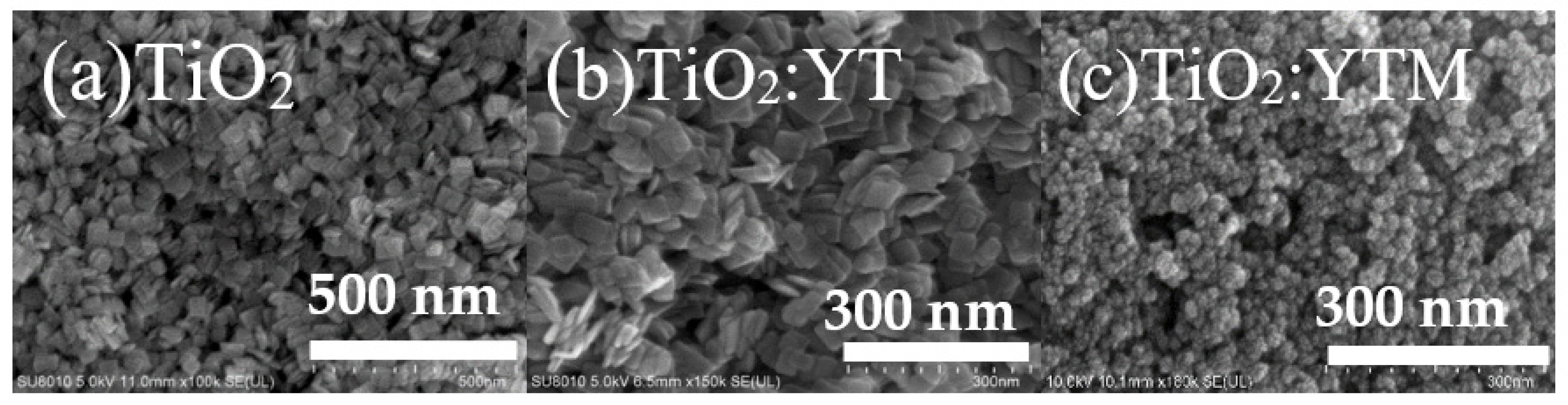 Coatings 12 00744 g001 550