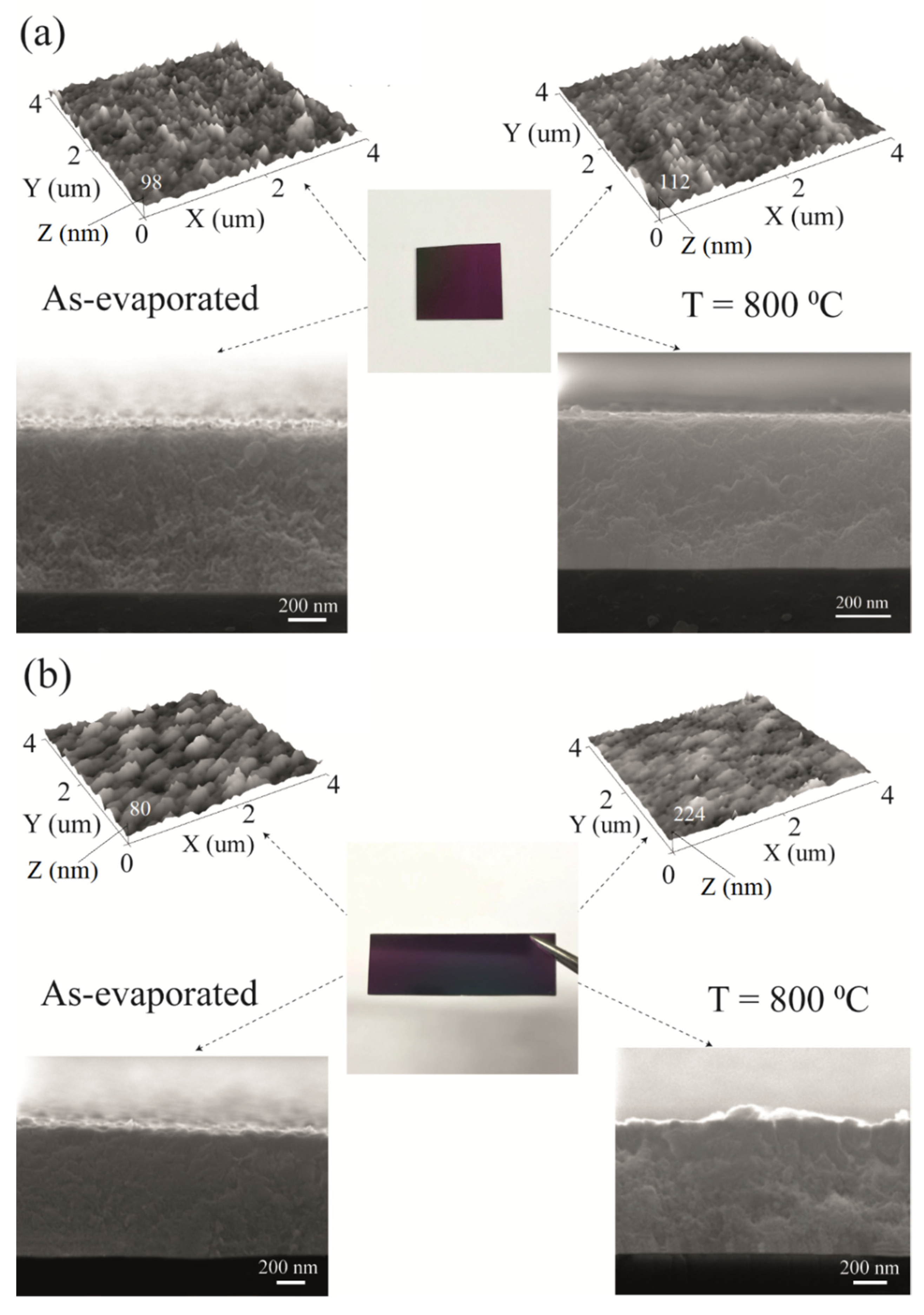 Coatings 12 00747 g006 550
