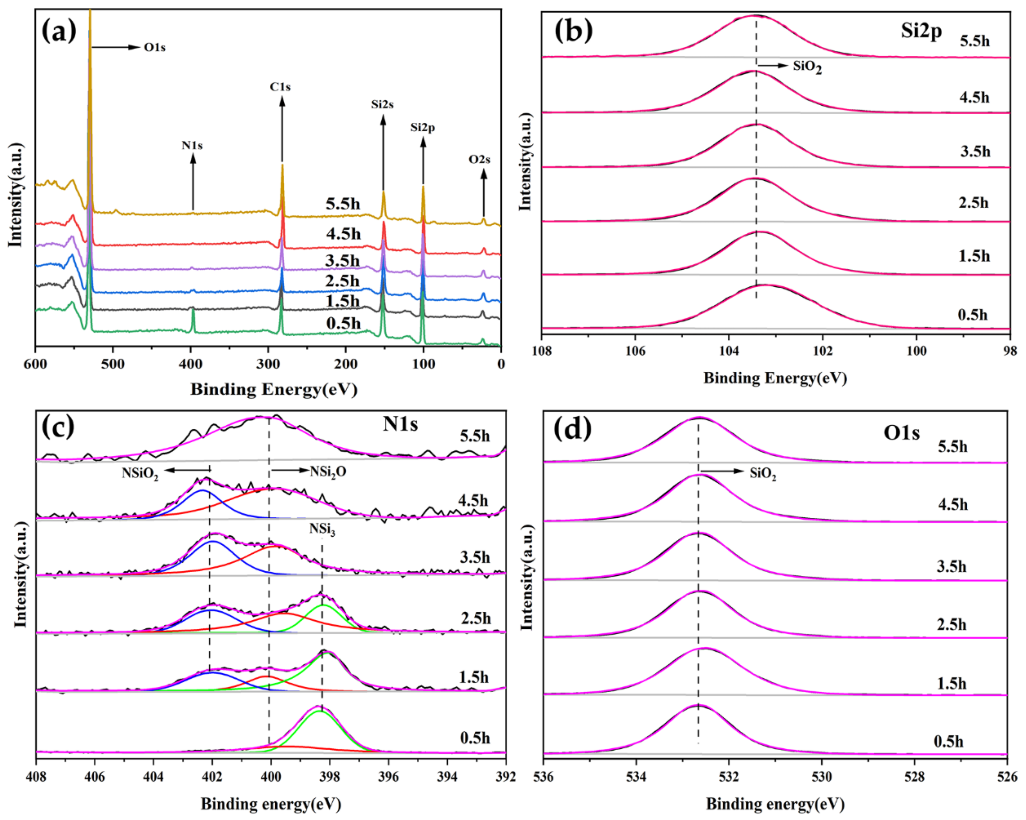 Coatings 12 00748 g002