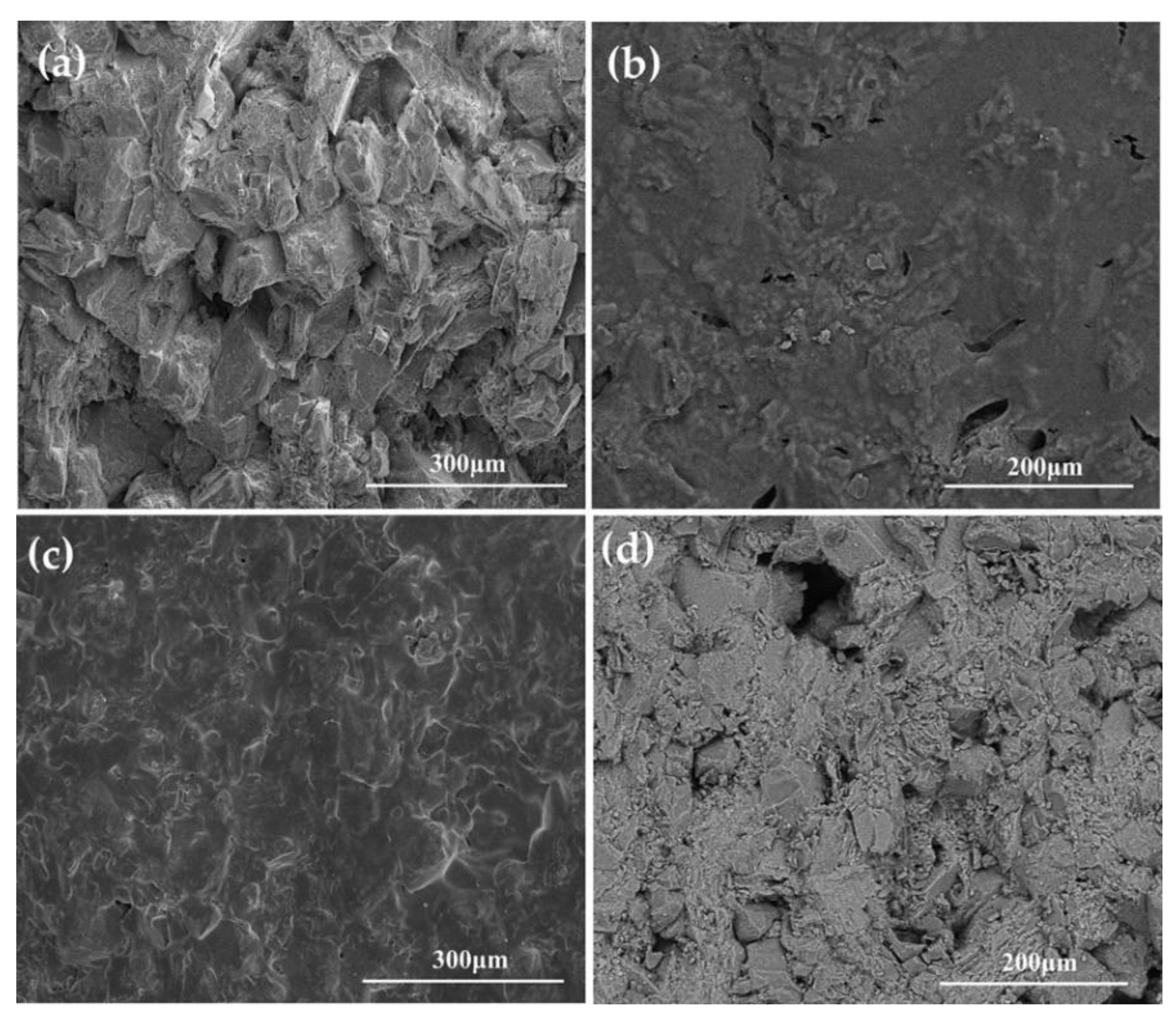 Coatings 12 00748 g003
