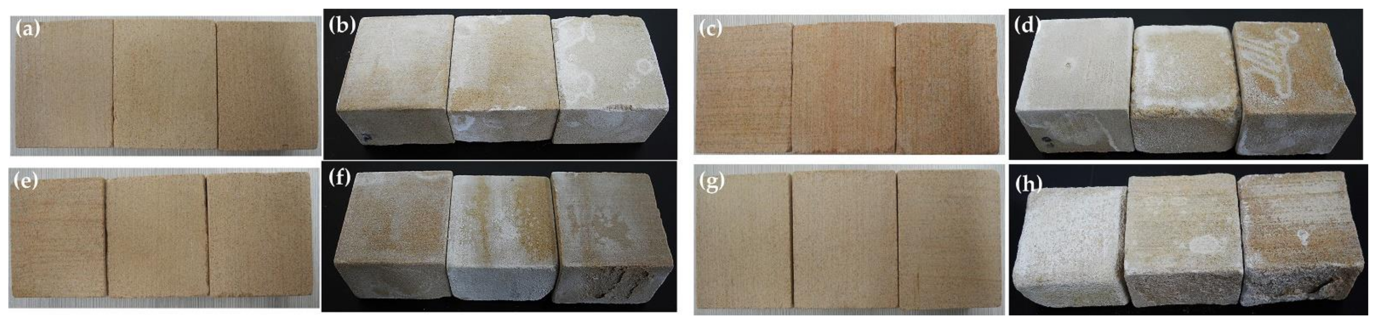 Coatings 12 00748 g008