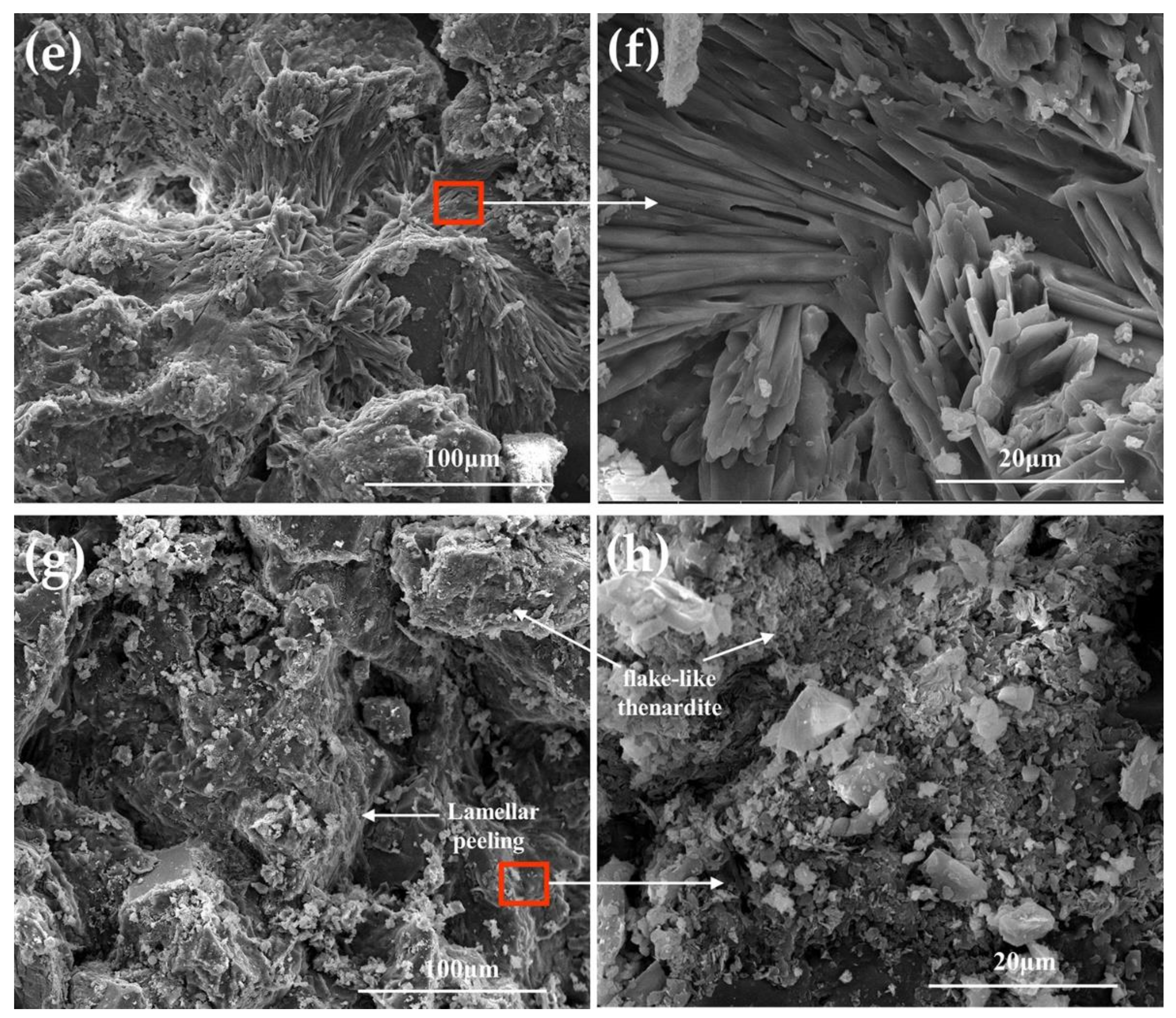 Coatings 12 00748 g009b