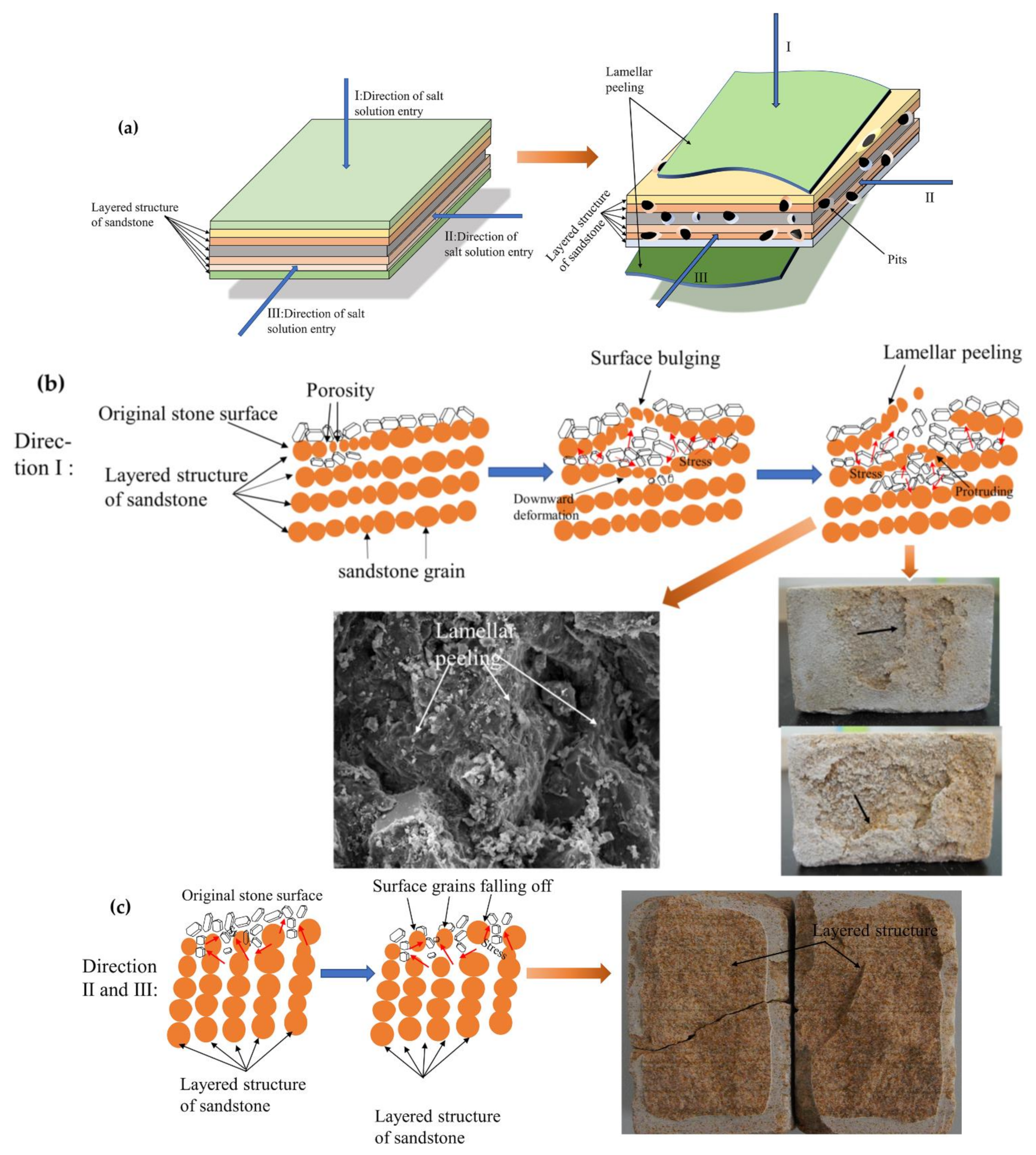 Coatings 12 00748 g010