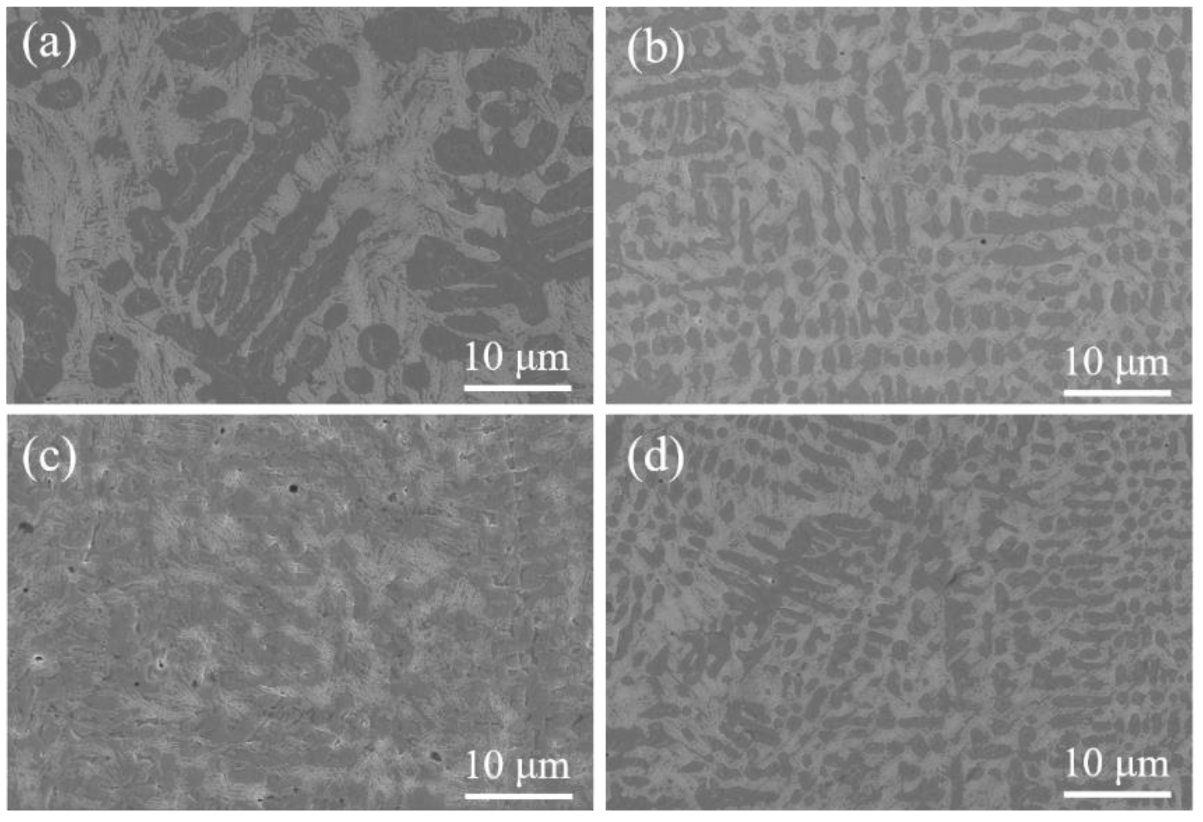 Coatings 12 00751 g003