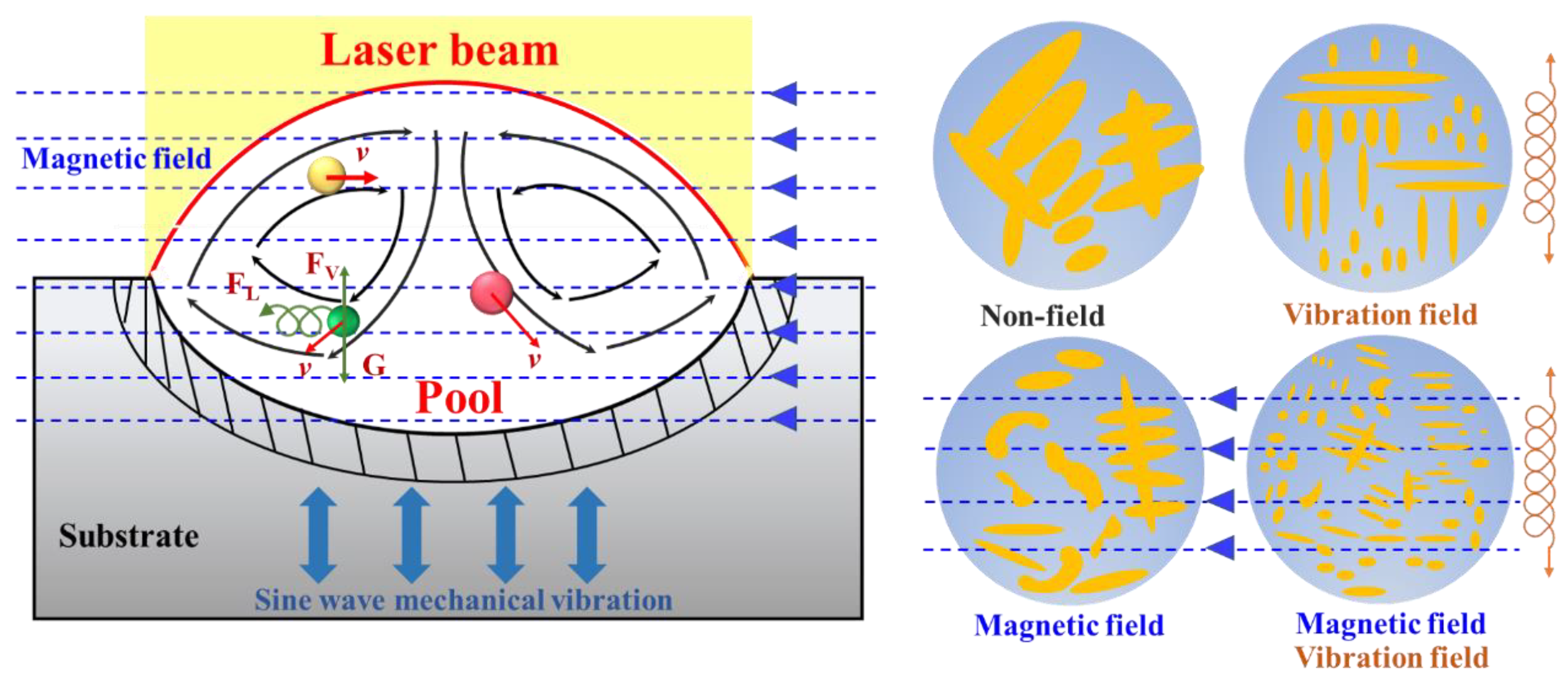 Coatings 12 00751 g007