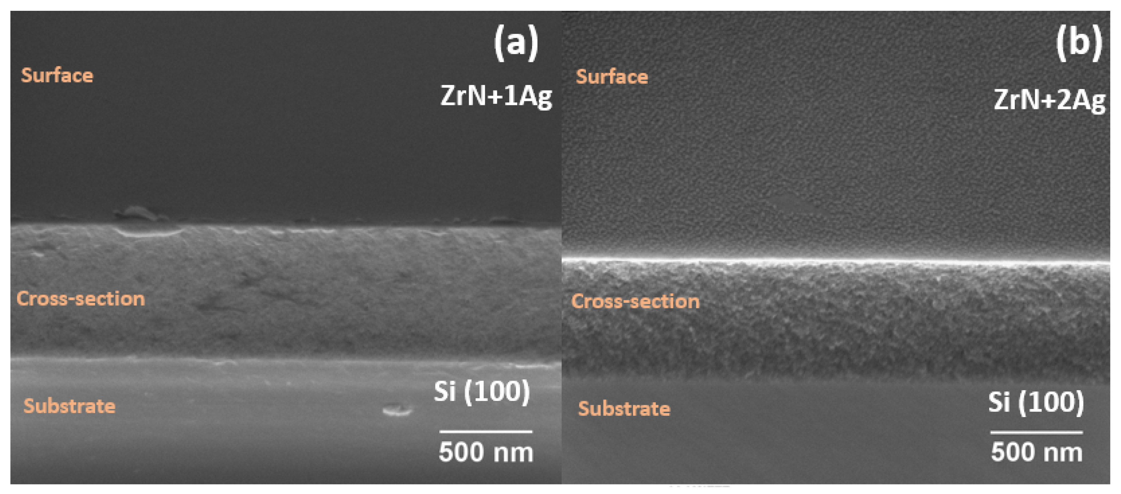 Coatings 12 00754 g004