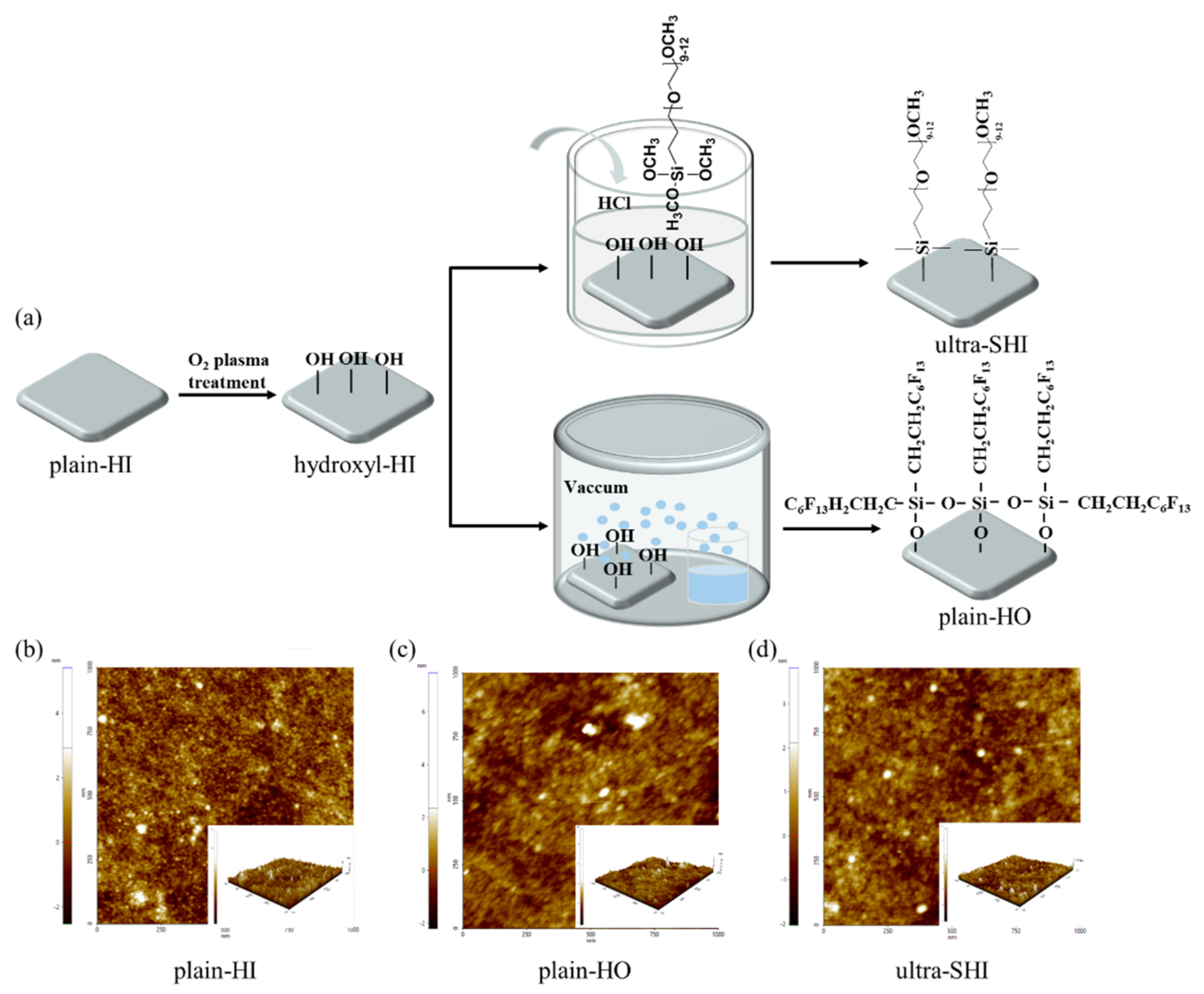 Coatings 12 00755 g001