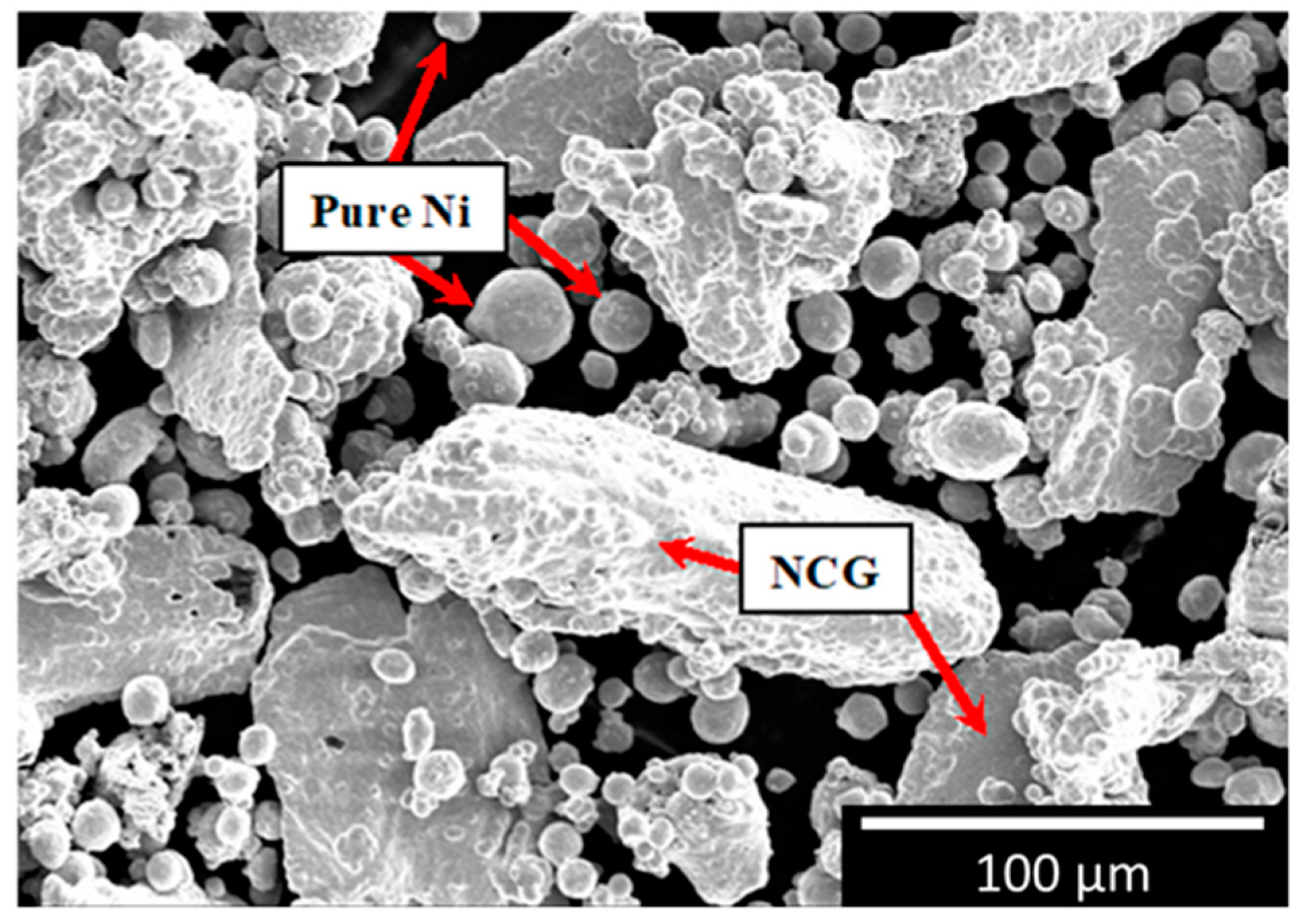 Coatings 12 00760 g003