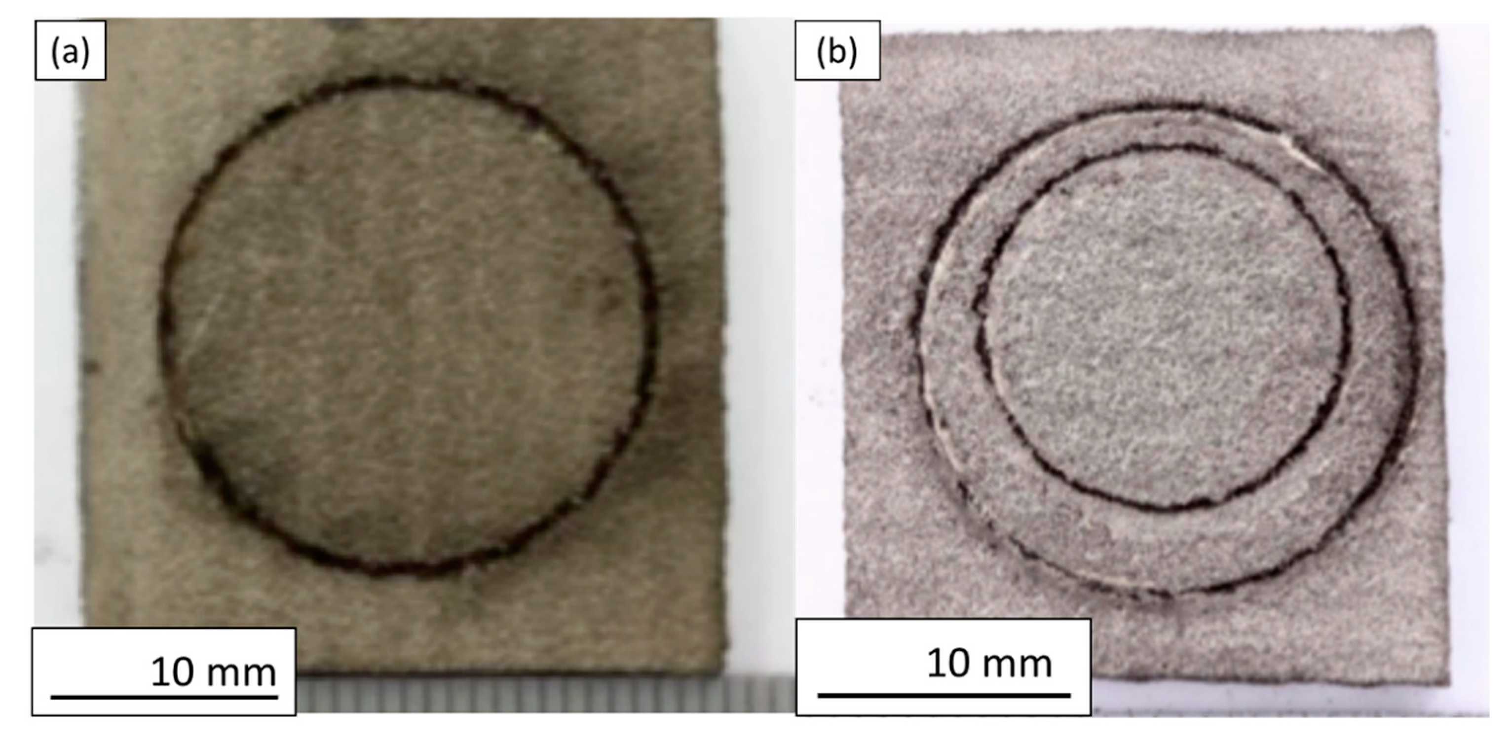 Coatings 12 00760 g010