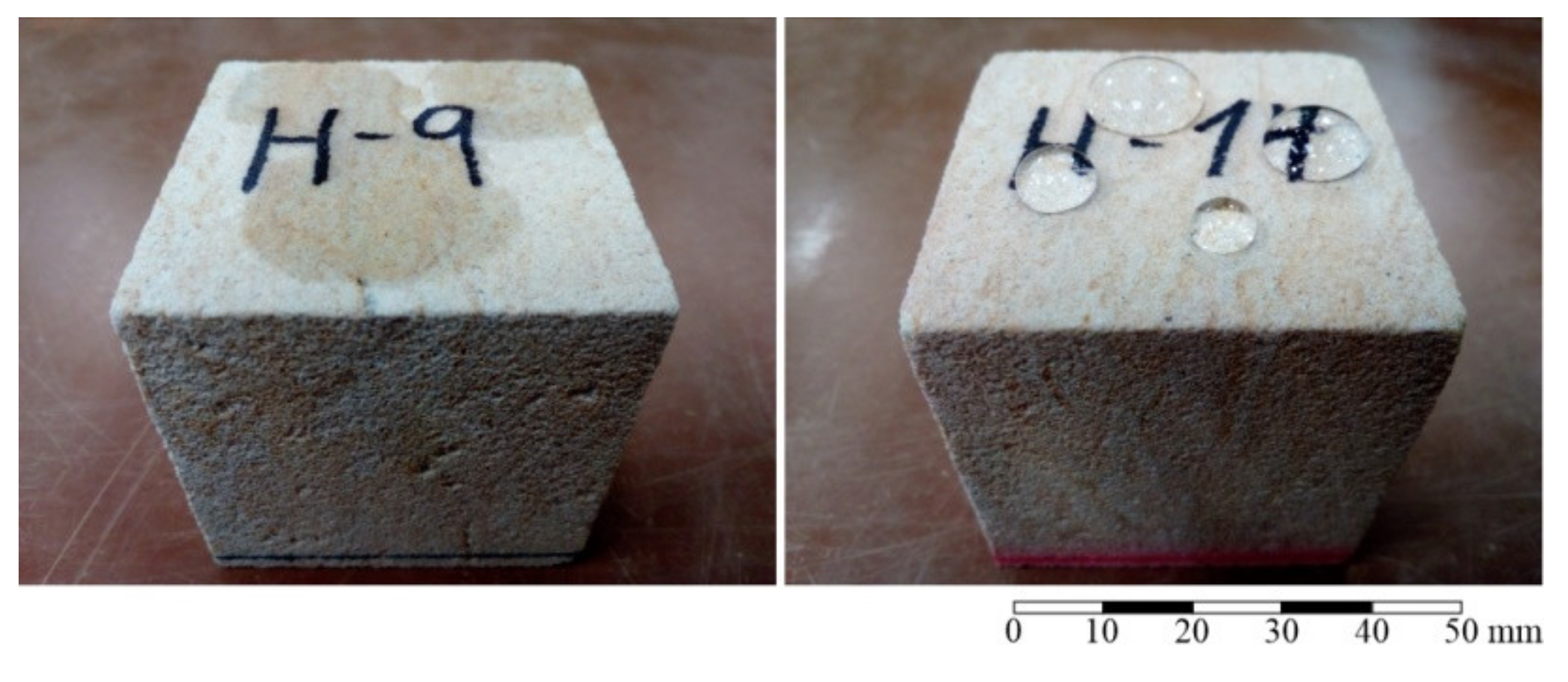 Coatings 12 00761 g006