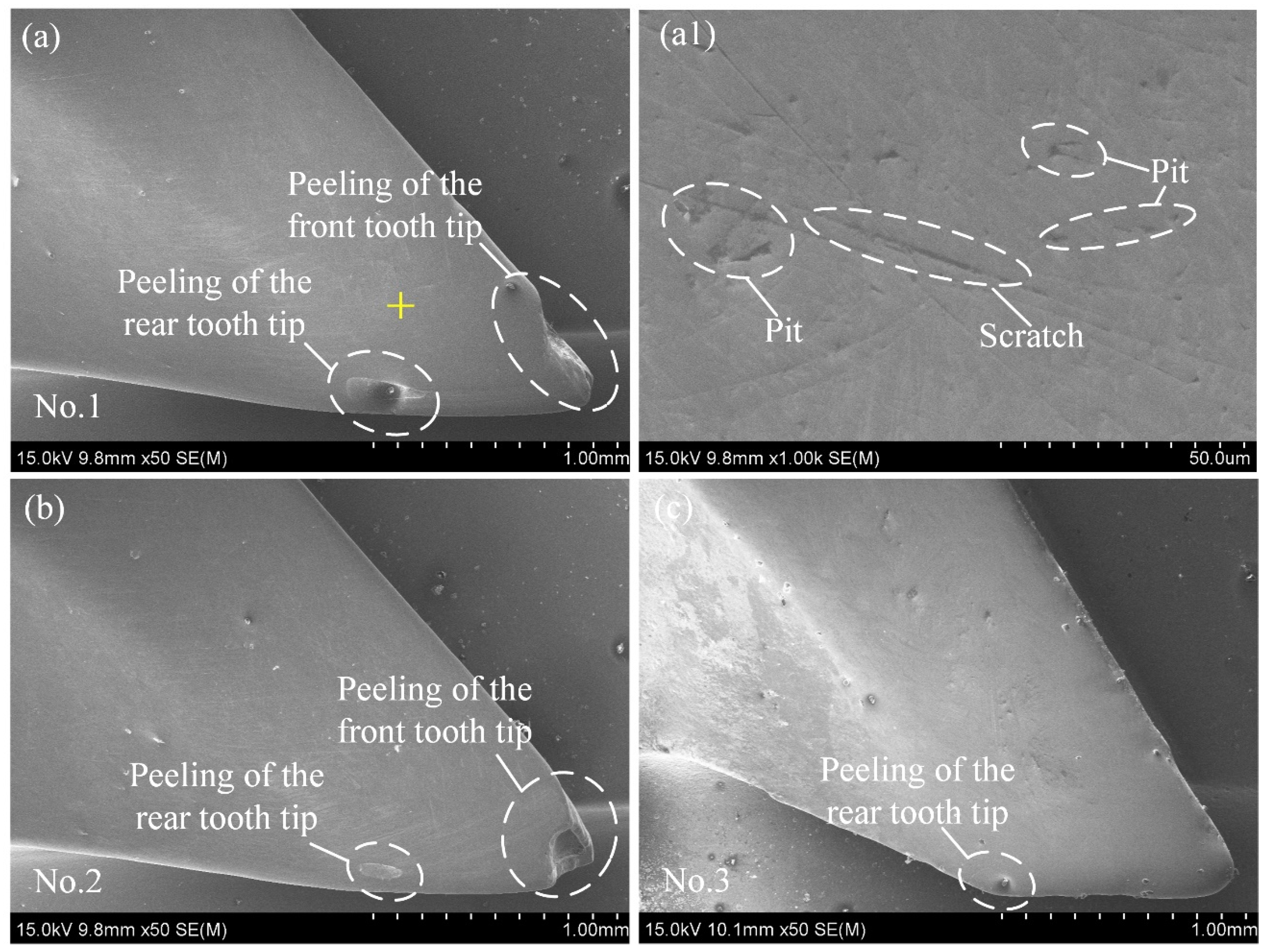 Coatings 12 00762 g006