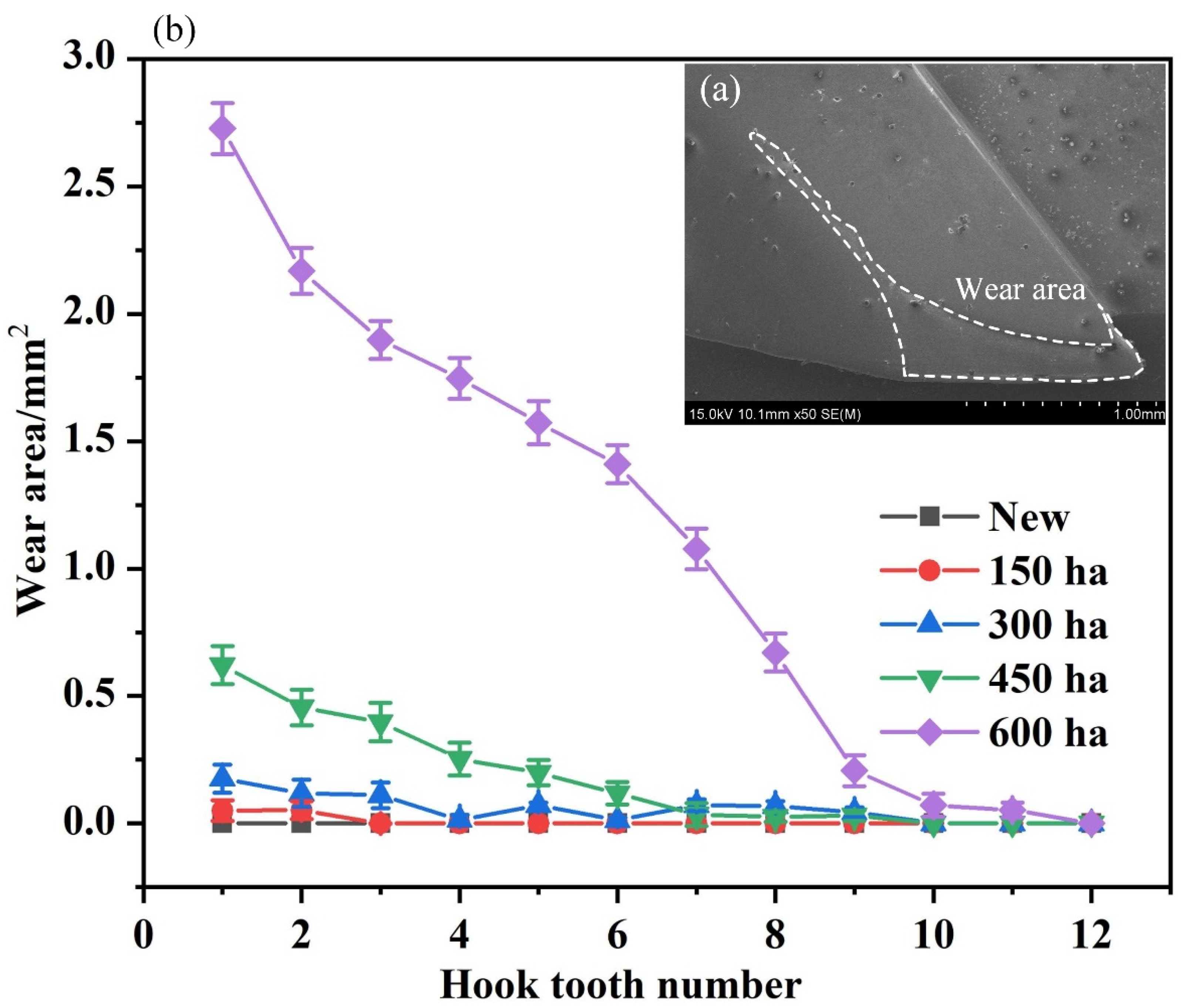 Coatings 12 00762 g011