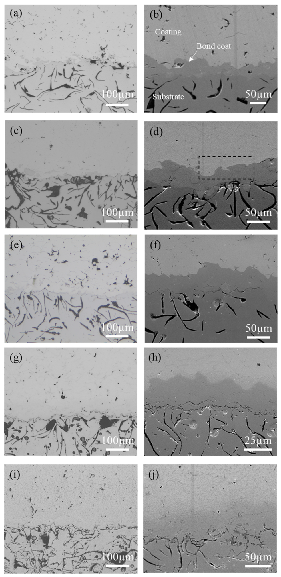 Coatings 12 00765 g003