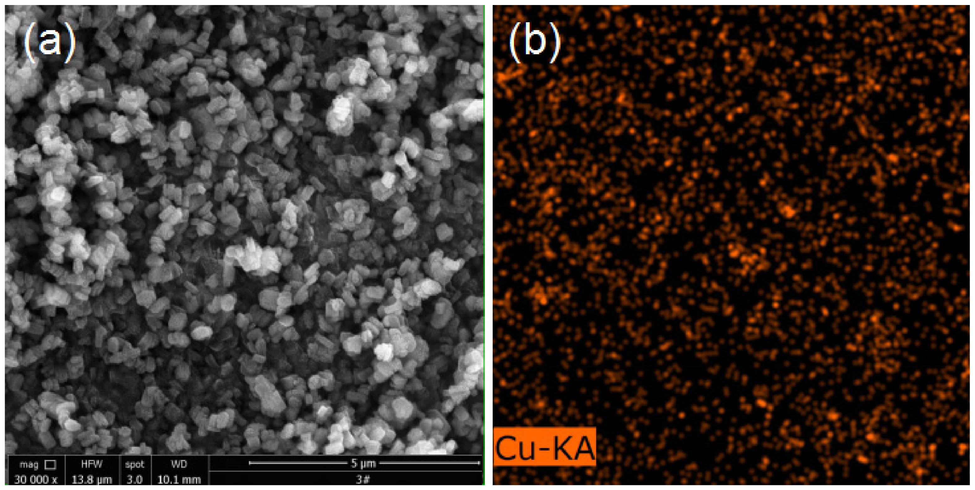Coatings 12 00772 g006