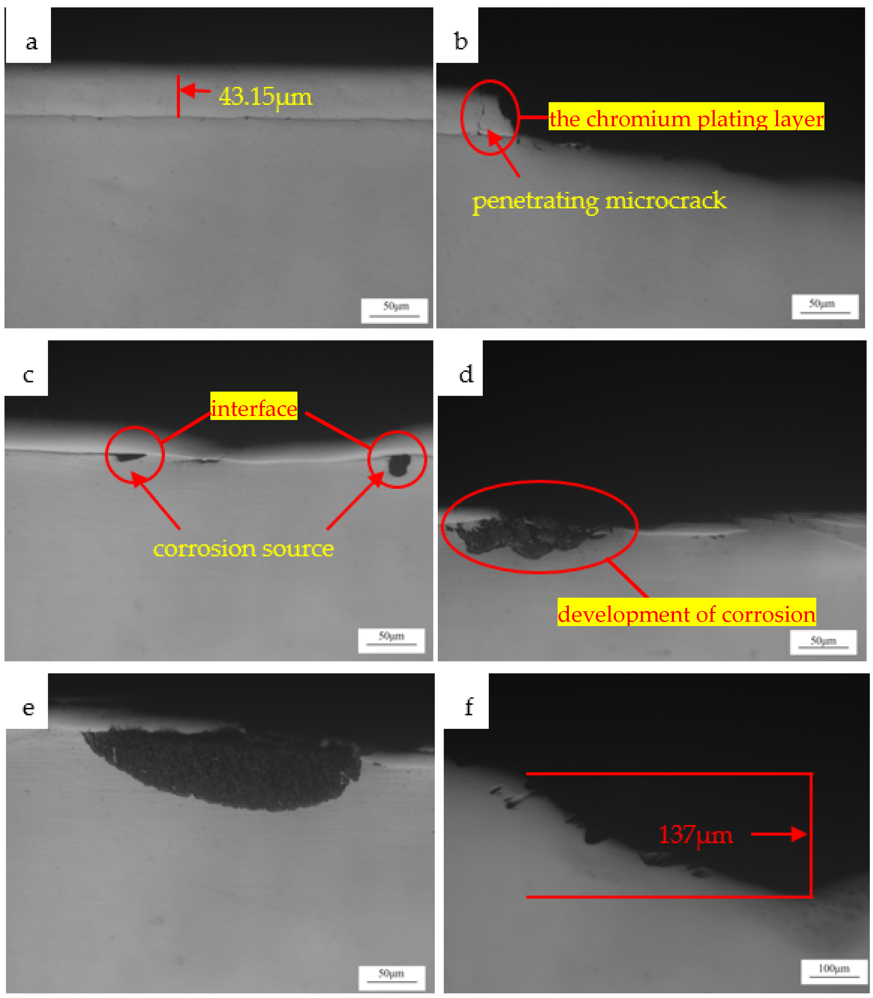 Coatings 12 00774 g003 550