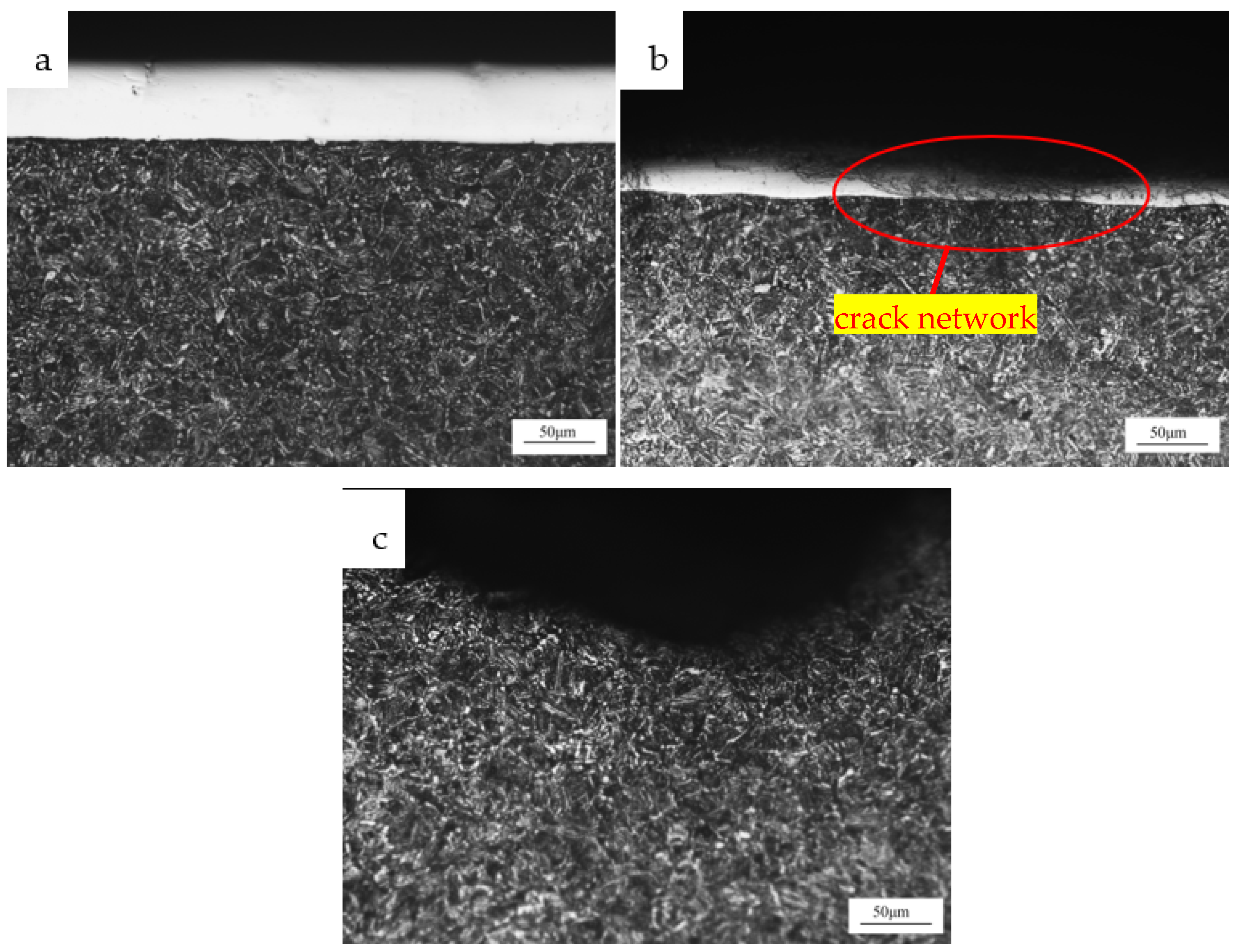 Coatings 12 00774 g004 550