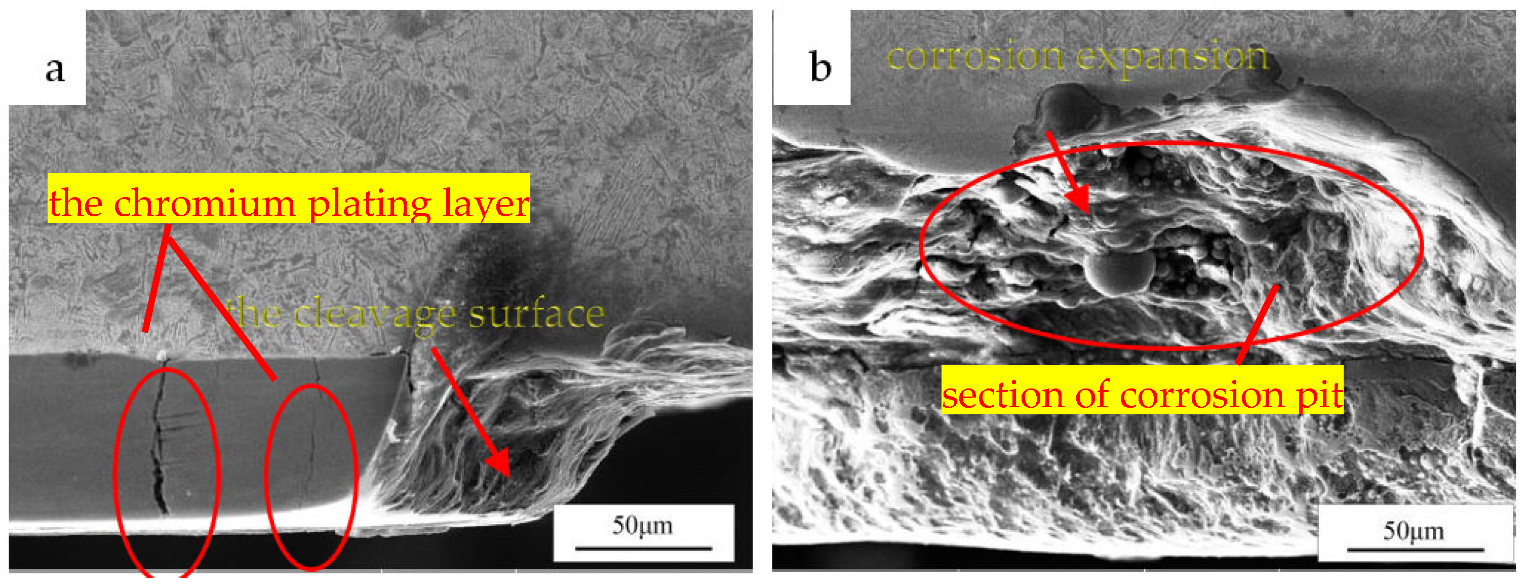 Coatings 12 00774 g006 550