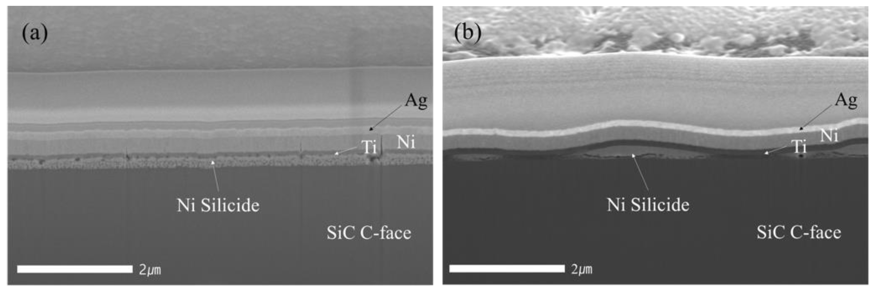 Coatings 12 00777 g003 550