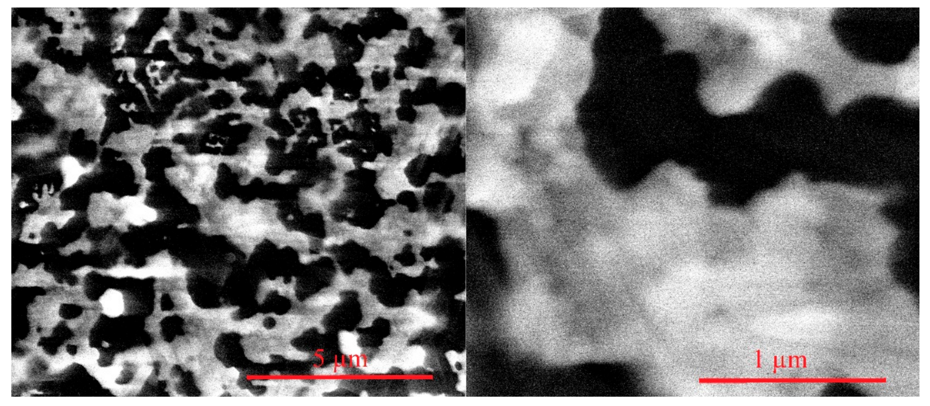 Coatings 12 00784 g005