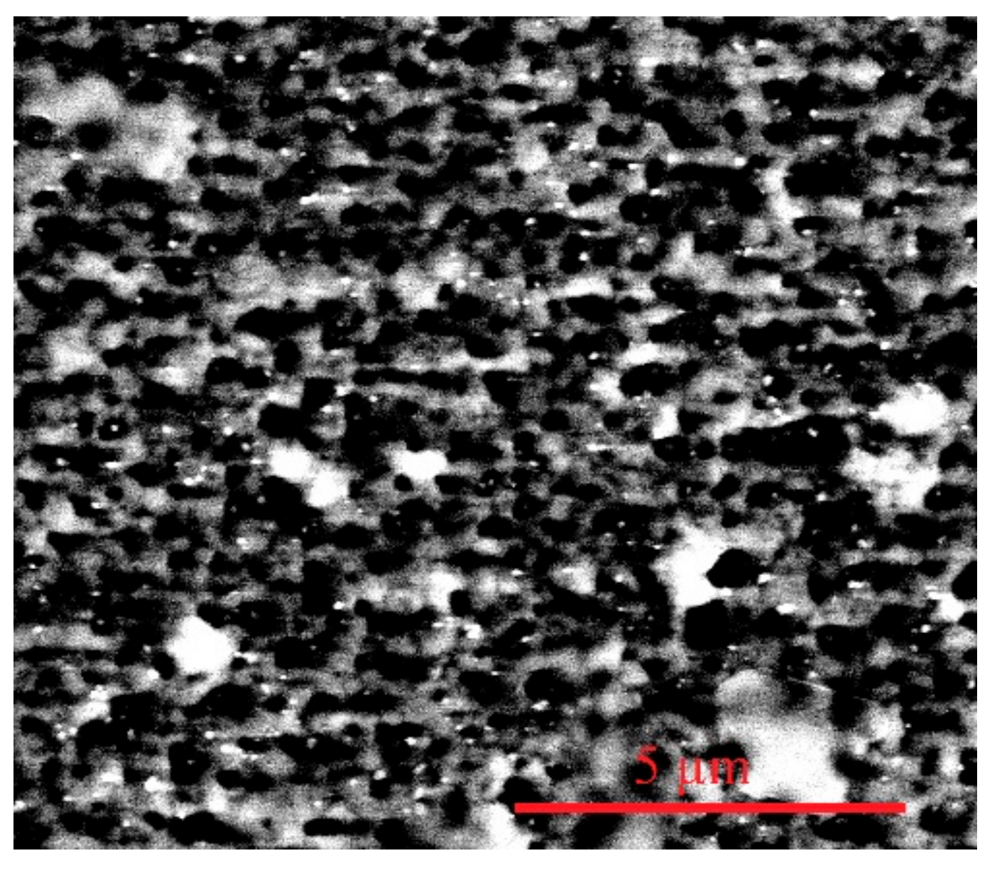 Coatings 12 00784 g007