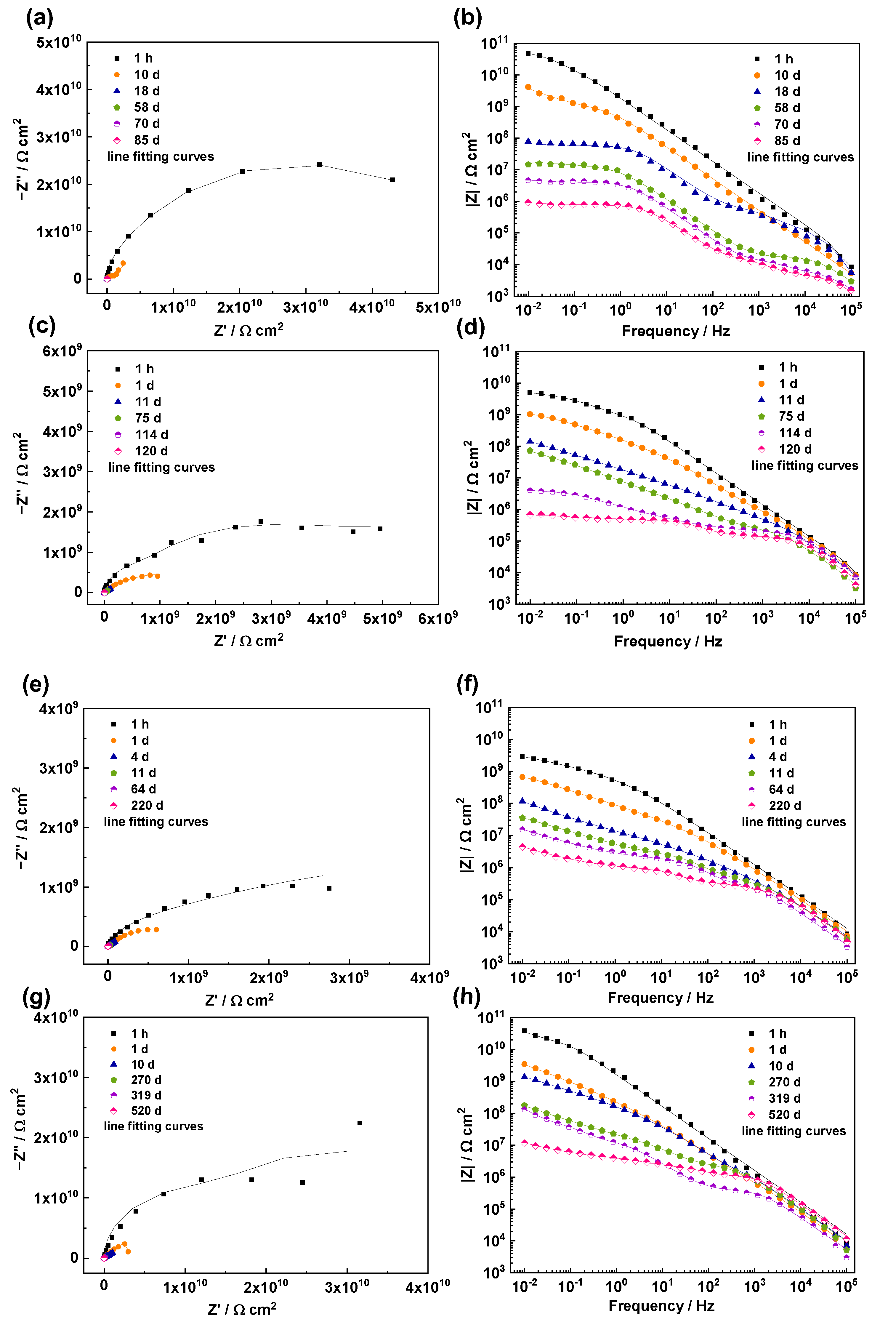Coatings 12 00785 g004
