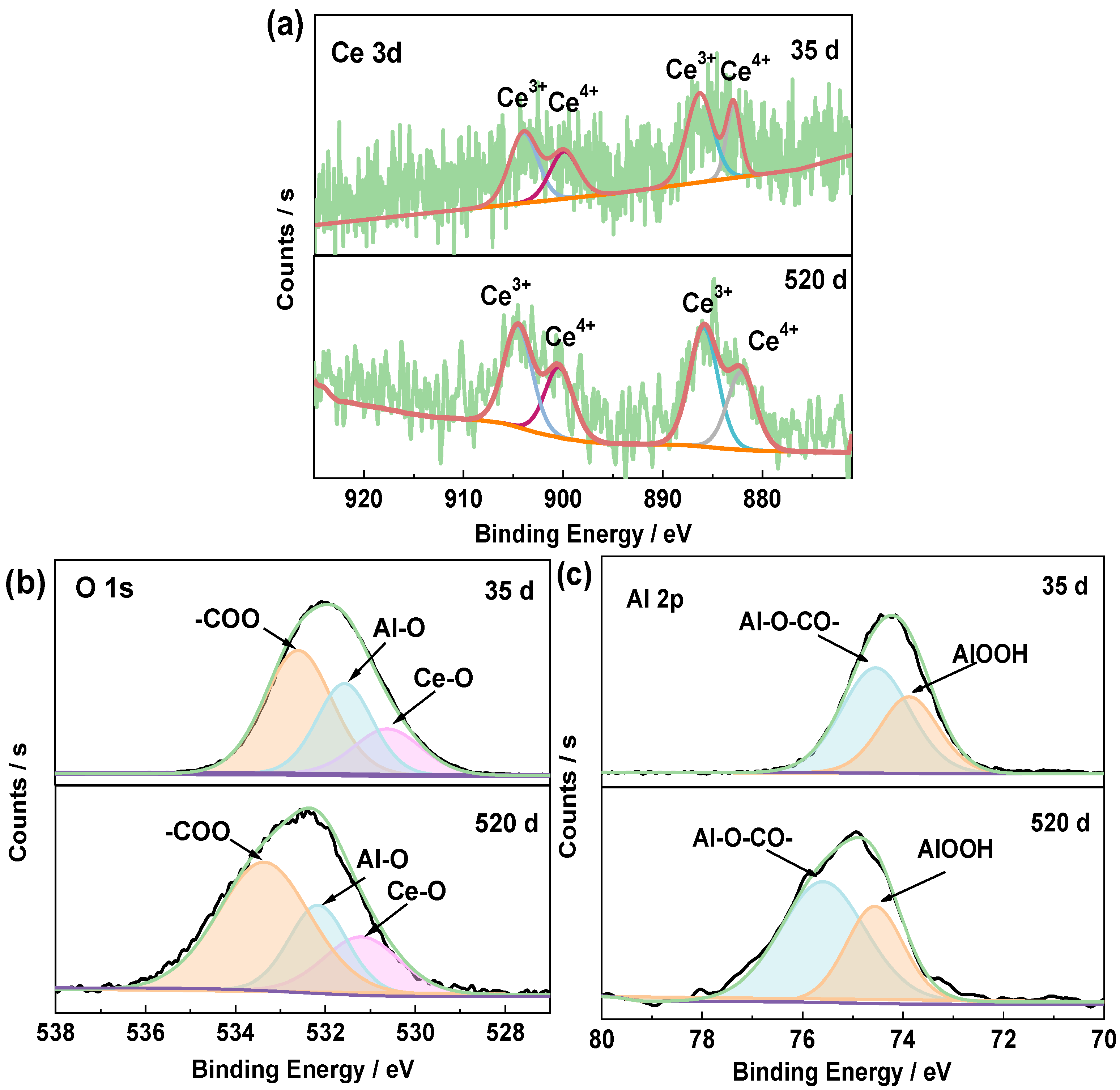Coatings 12 00785 g014