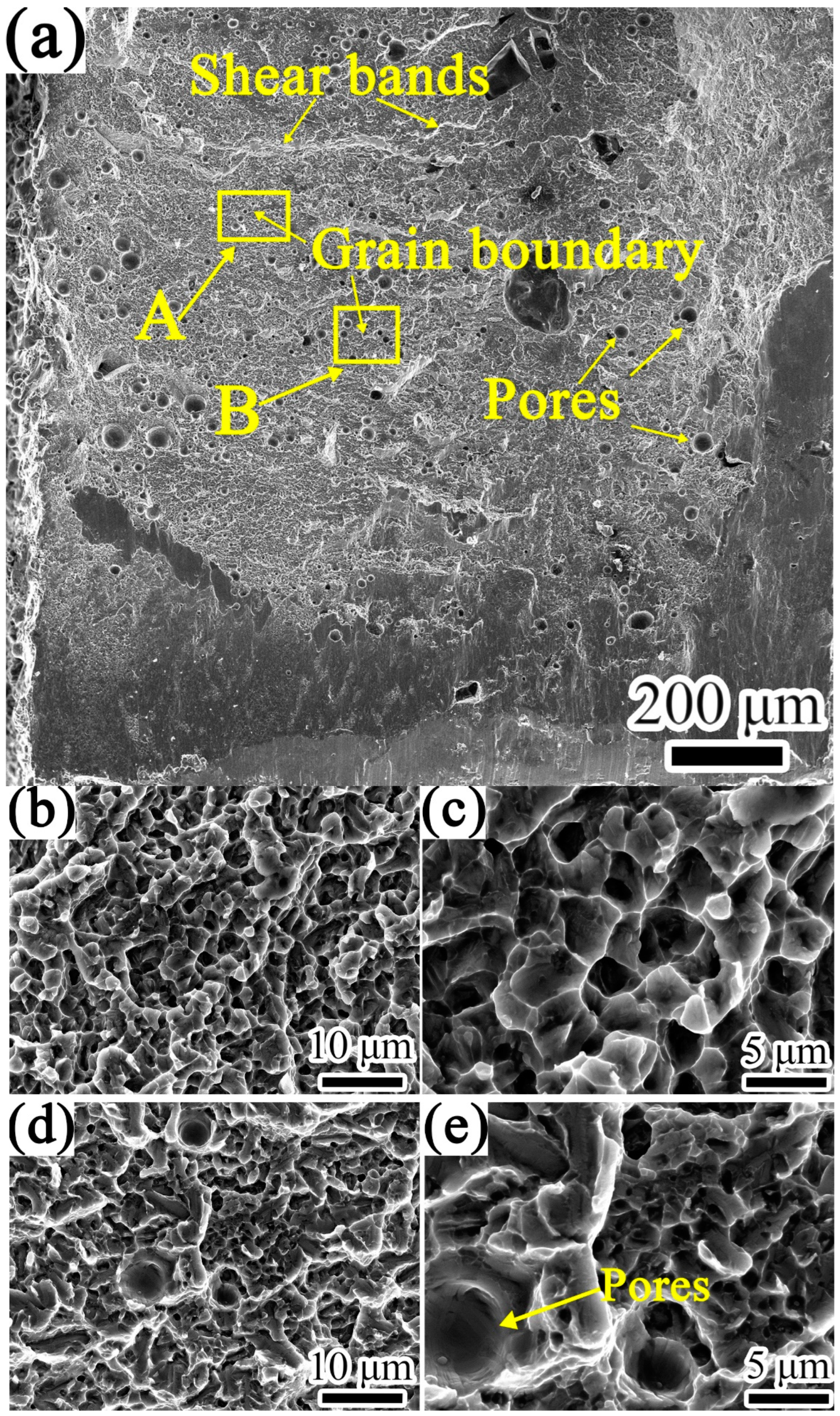 Coatings 12 00792 g008 550