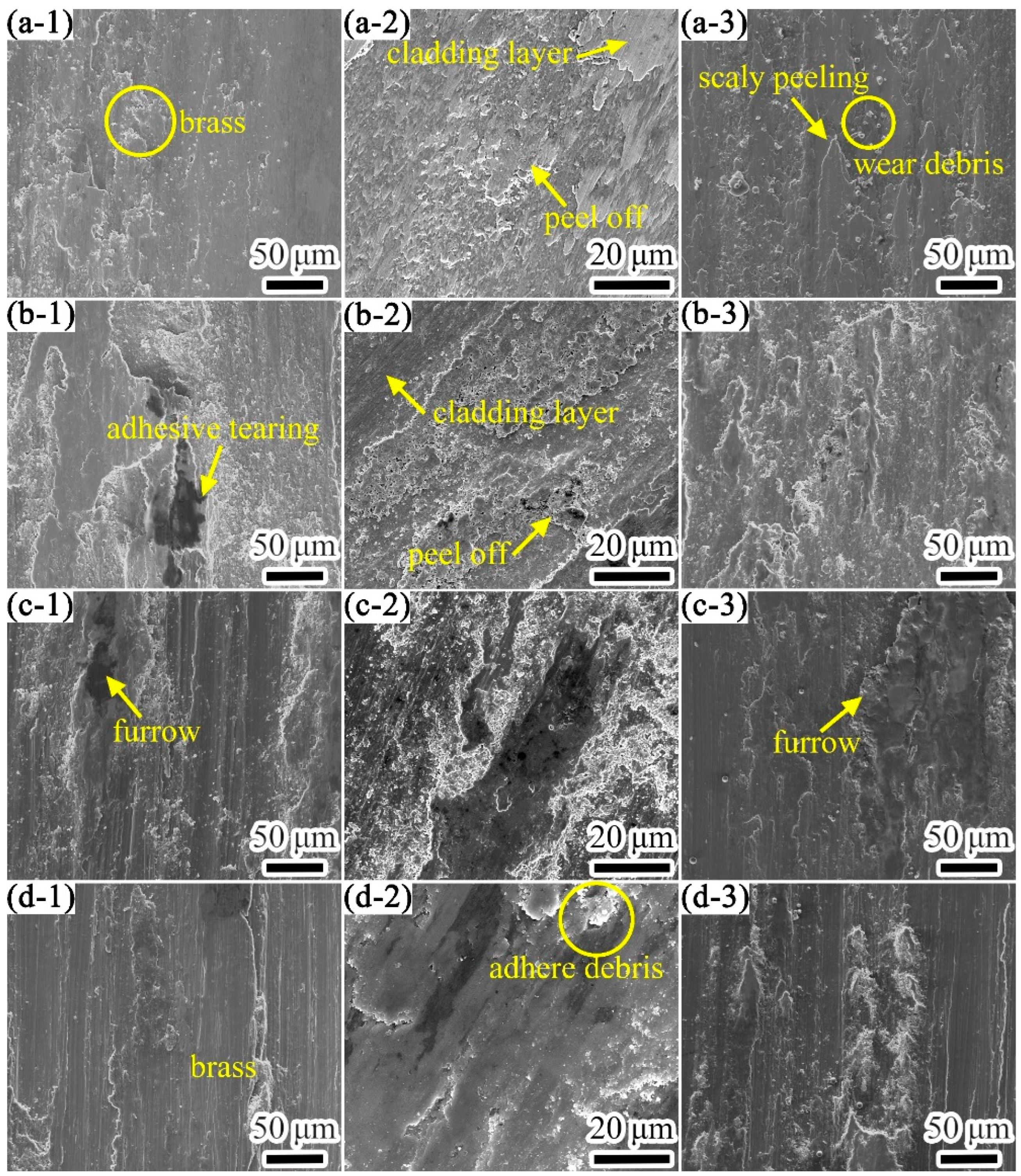 Coatings 12 00792 g013 550